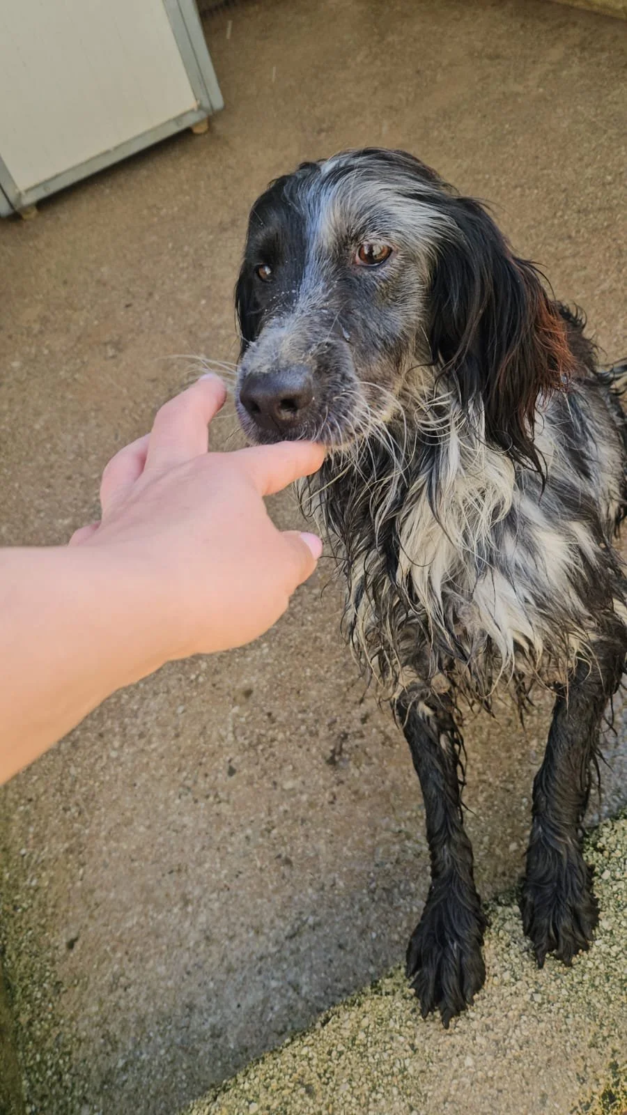 PHOTO-2026-02-03-11-34-22 2.jpg