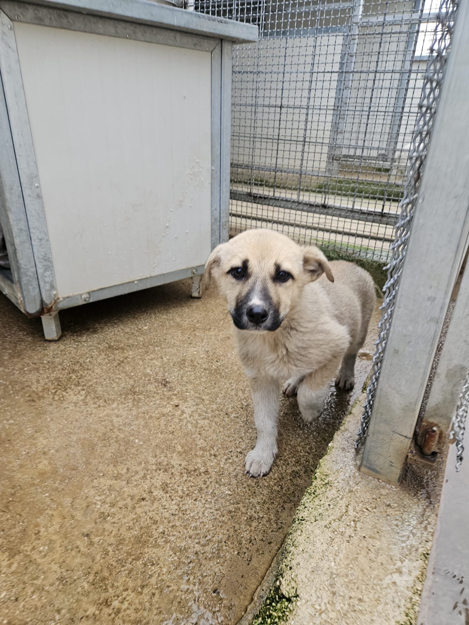 PHOTO-2026-01-20-09-41-14 3.jpg