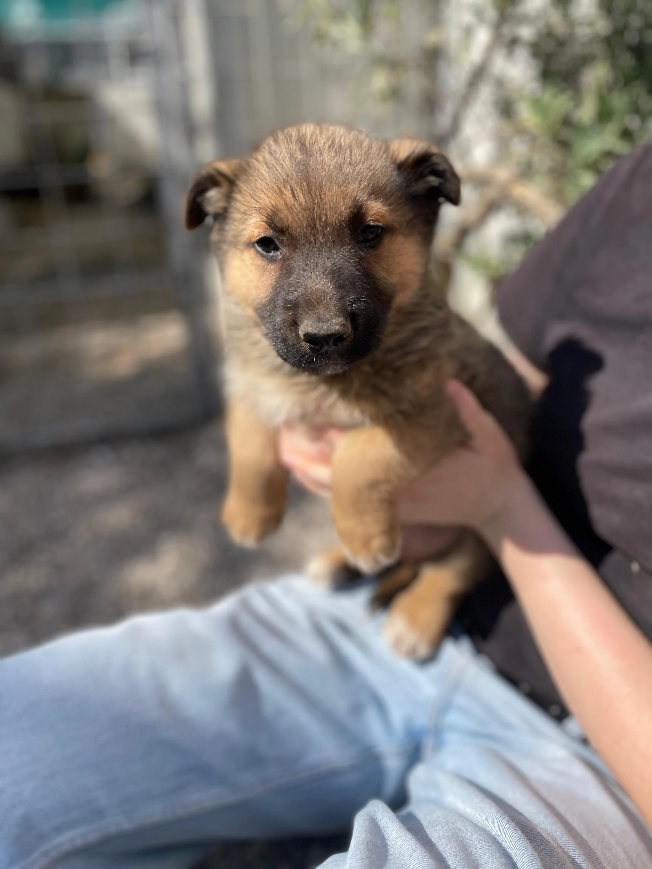 PHOTO-2026-03-11-14-15-26 3.jpg