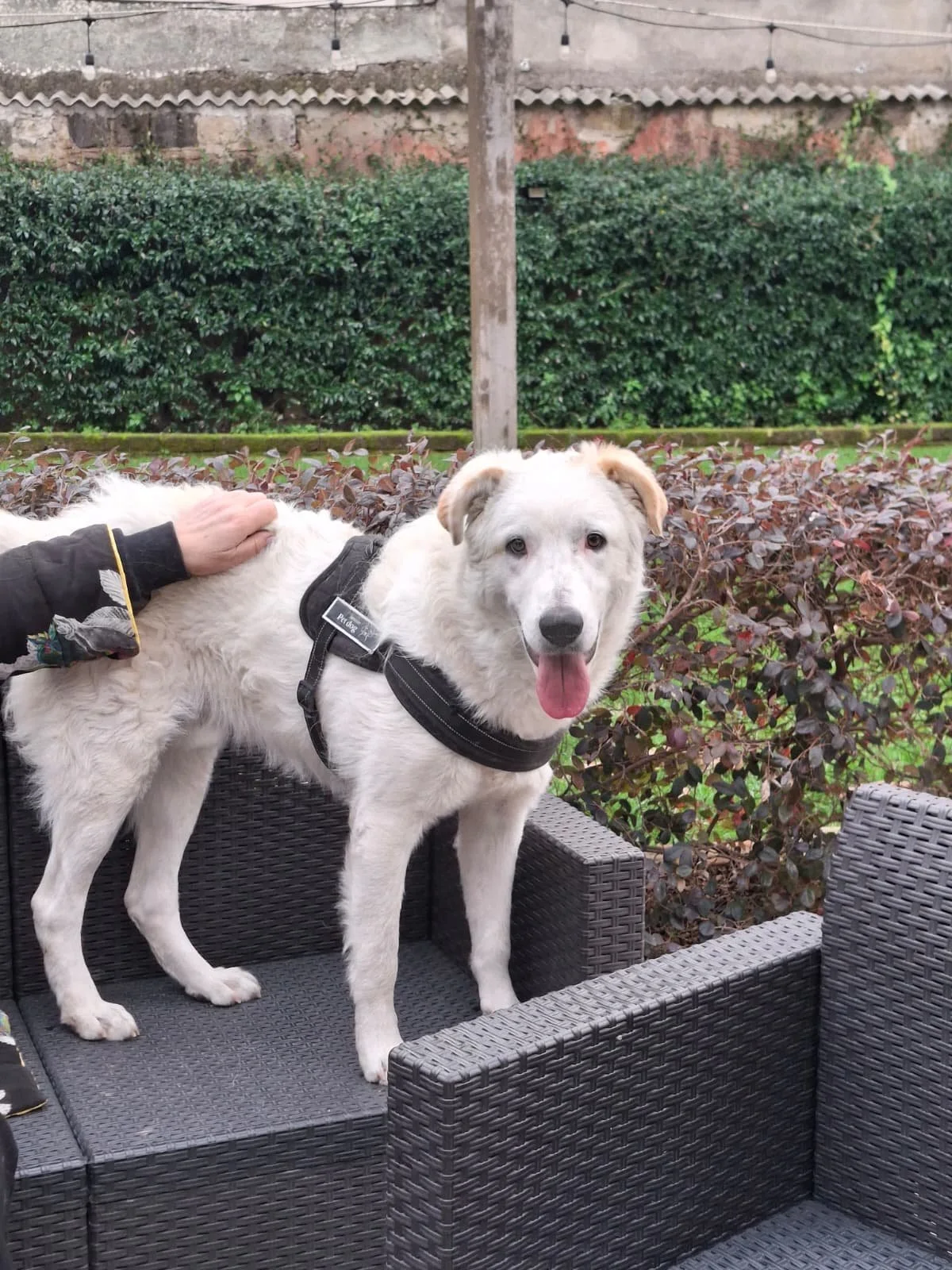 PHOTO-2026-01-07-15-24-11 6.jpg