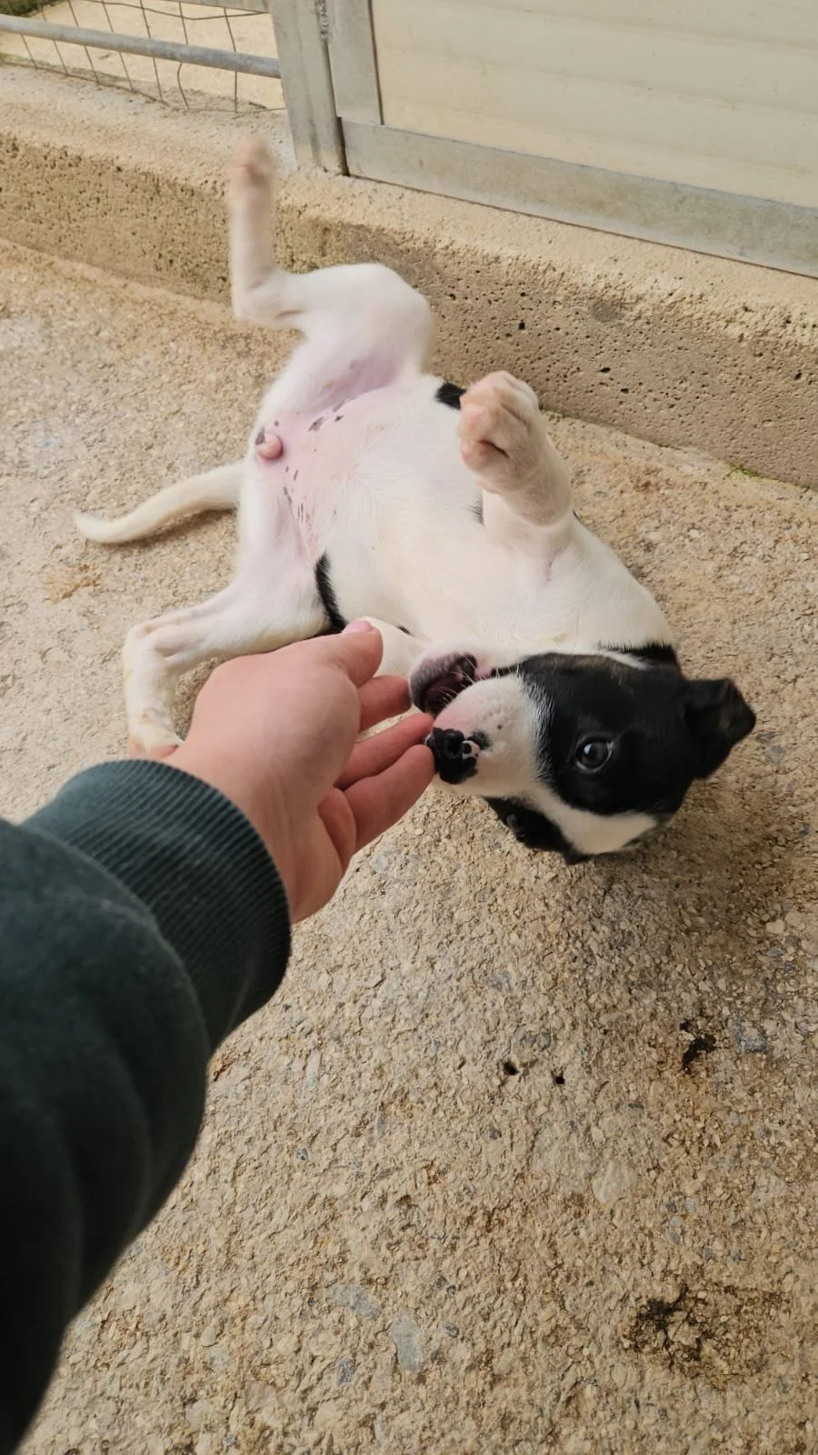 PHOTO-2026-03-21-07-21-35 2.jpg