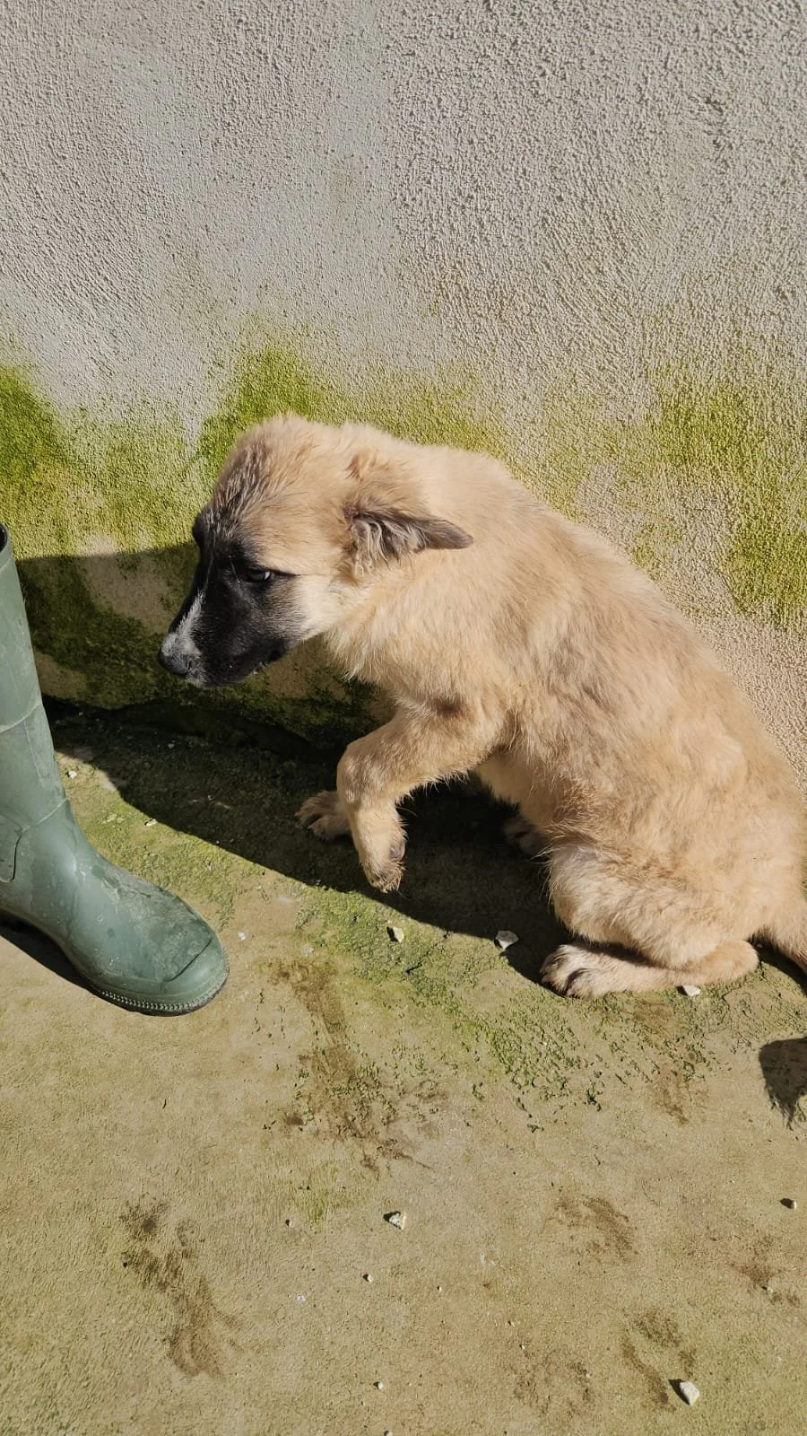 PHOTO-2026-02-02-12-39-14 3.jpg