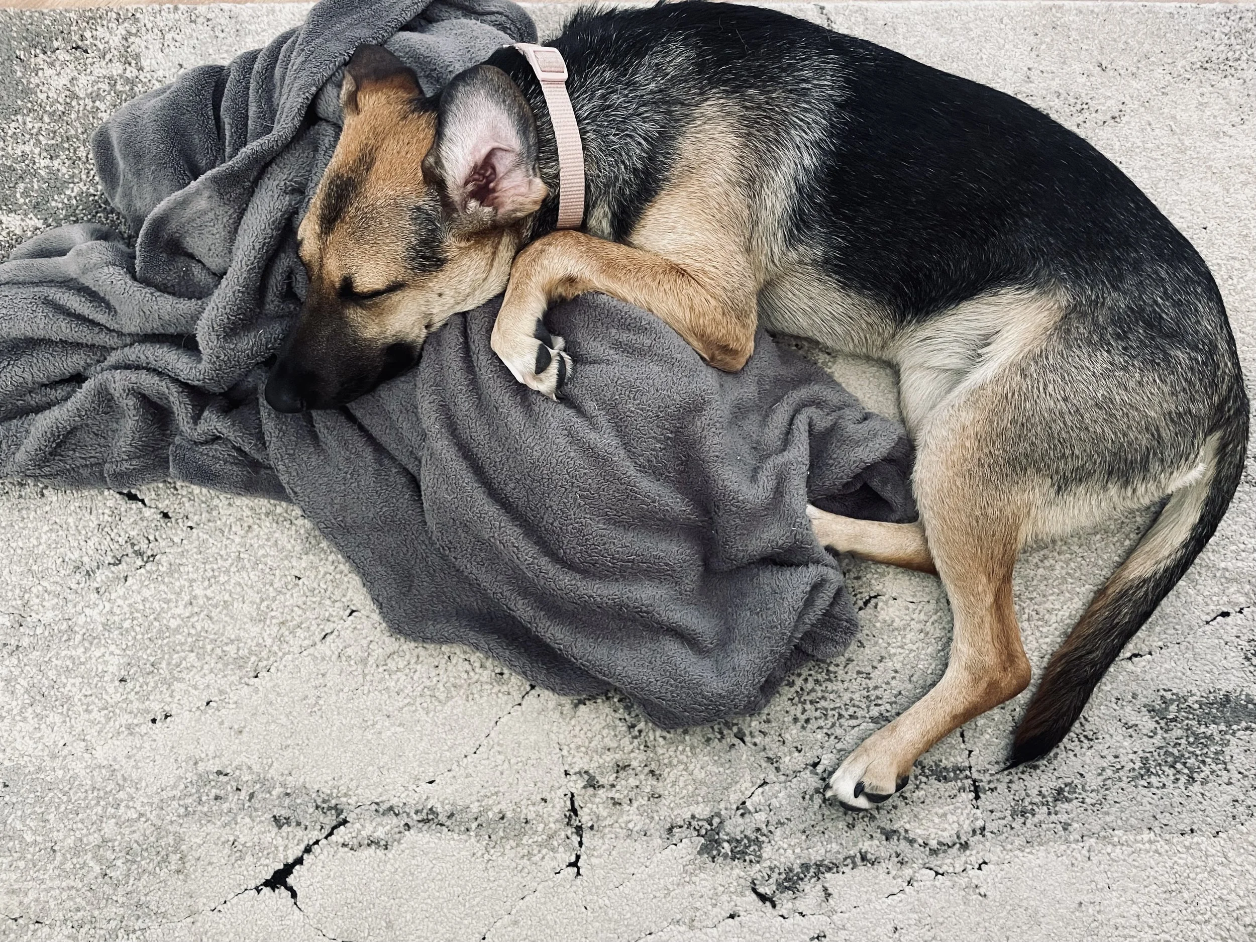 image00020.jpeg