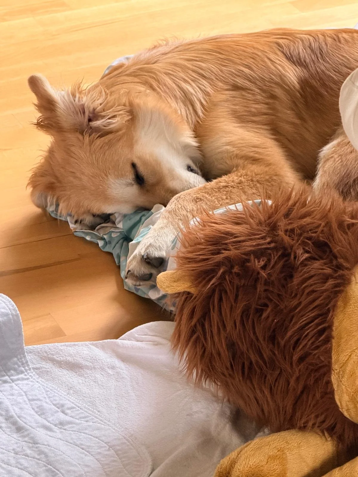 WhatsApp Image 2026-04-11 at 15.19.26.jpeg