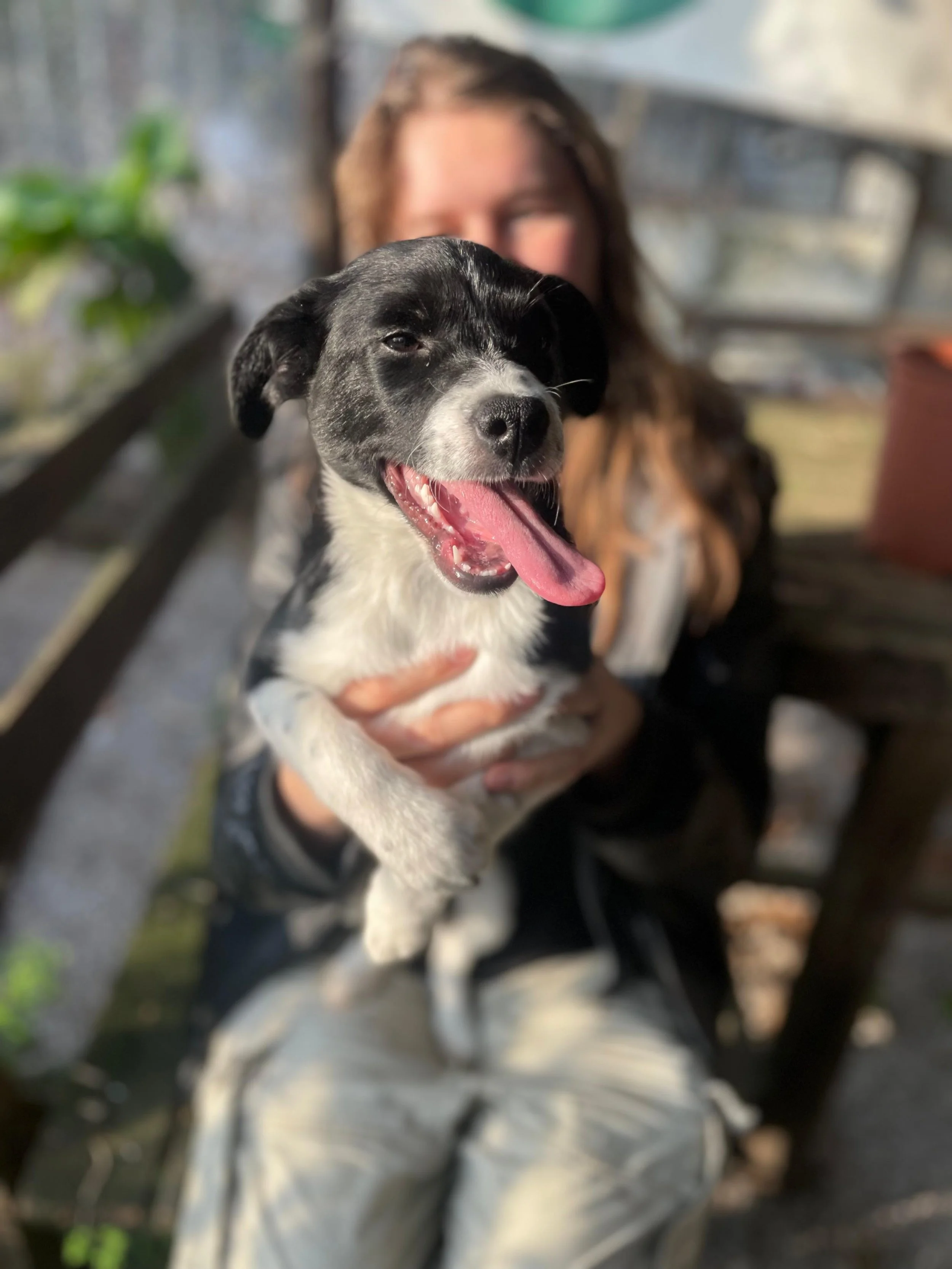 PHOTO-2026-03-11-14-45-36 2.jpg