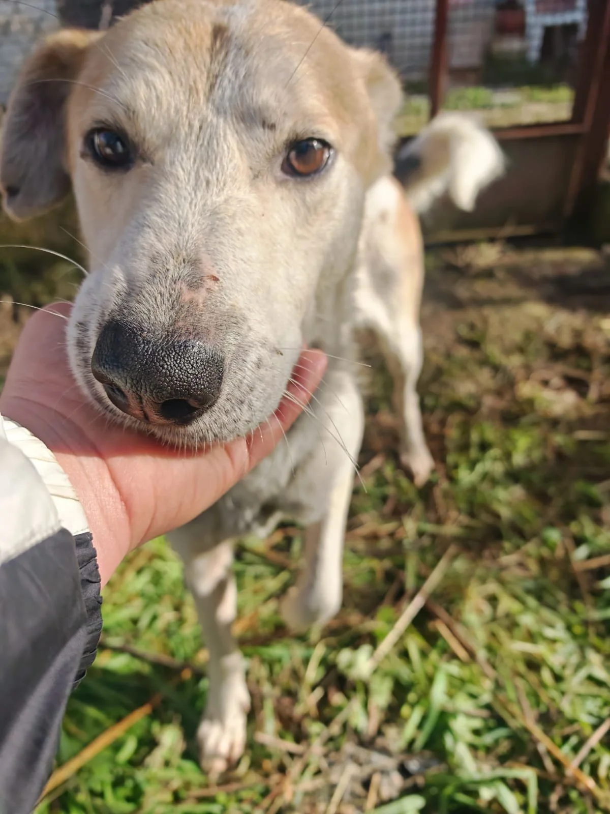 PHOTO-2026-01-22-11-17-14 2.jpg