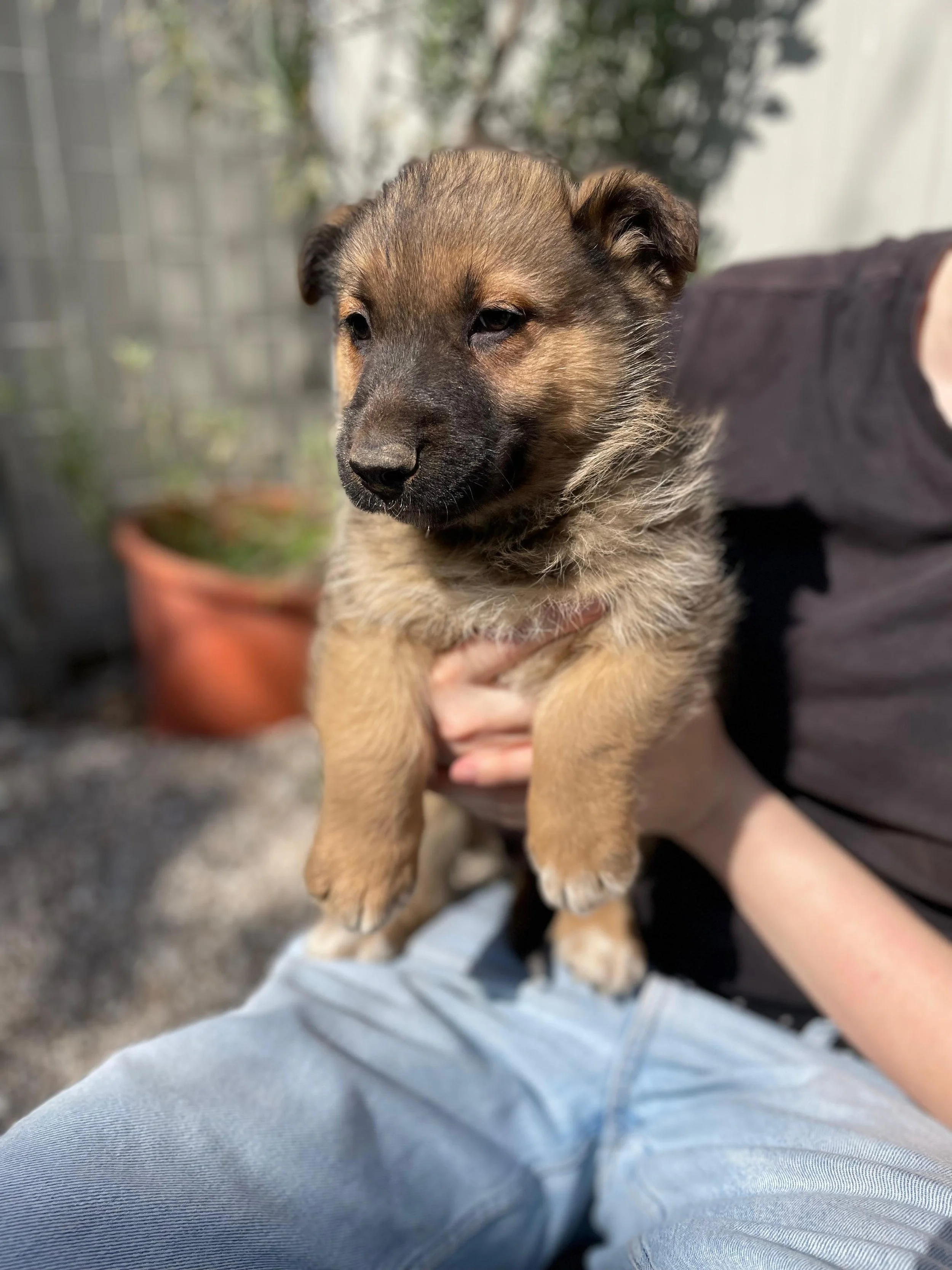 PHOTO-2026-03-11-14-15-26 4.jpg