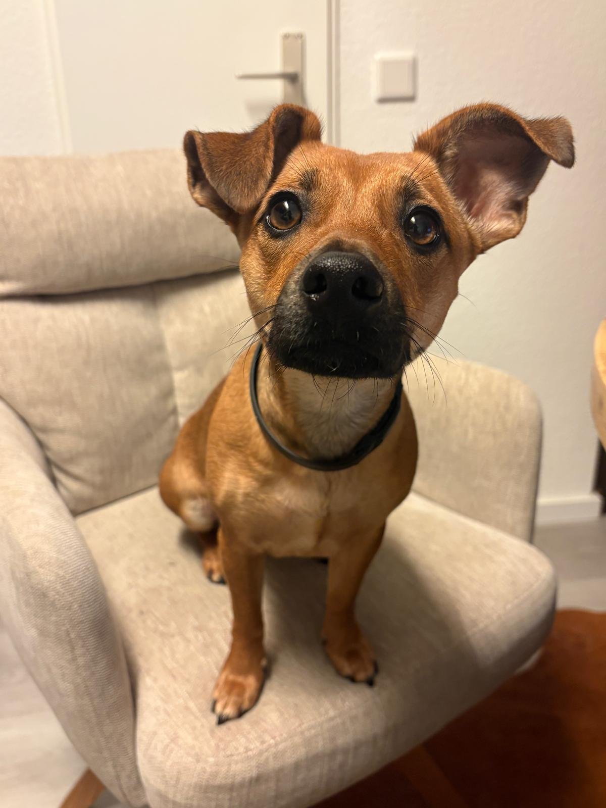 WhatsApp Image 2026-01-31 at 11.39.01 (1).jpeg