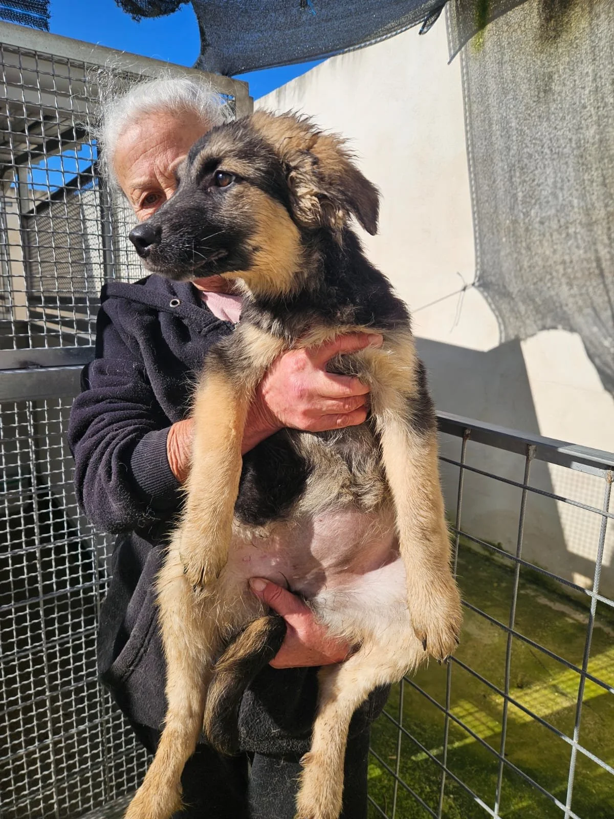 PHOTO-2026-02-02-12-37-51 3.jpg