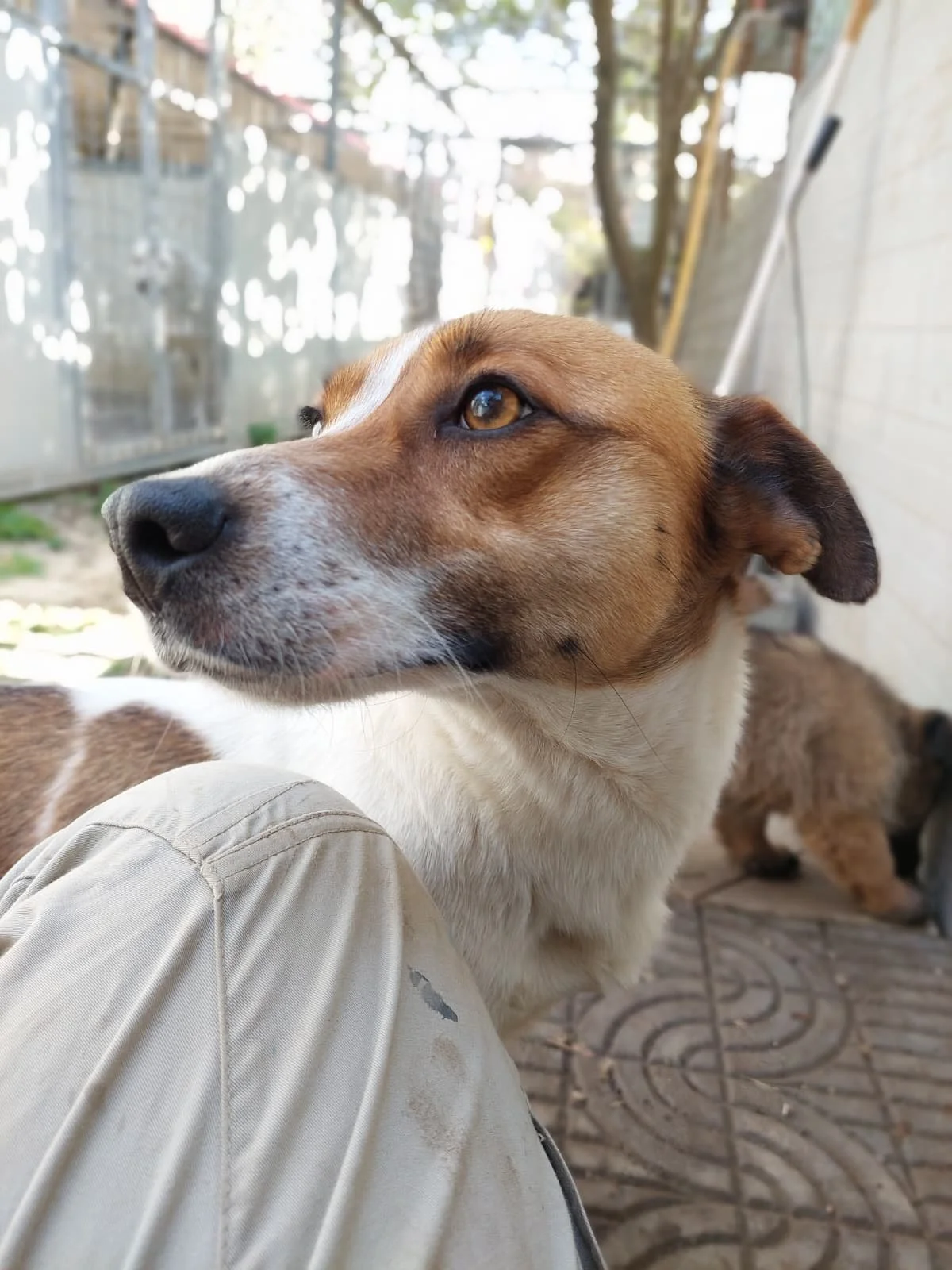 PHOTO-2026-03-11-14-28-51 2.jpg