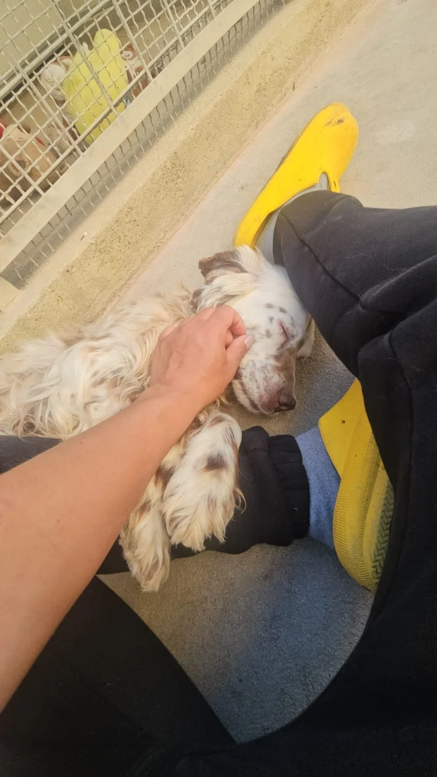 PHOTO-2026-04-27-18-32-09 3.jpg