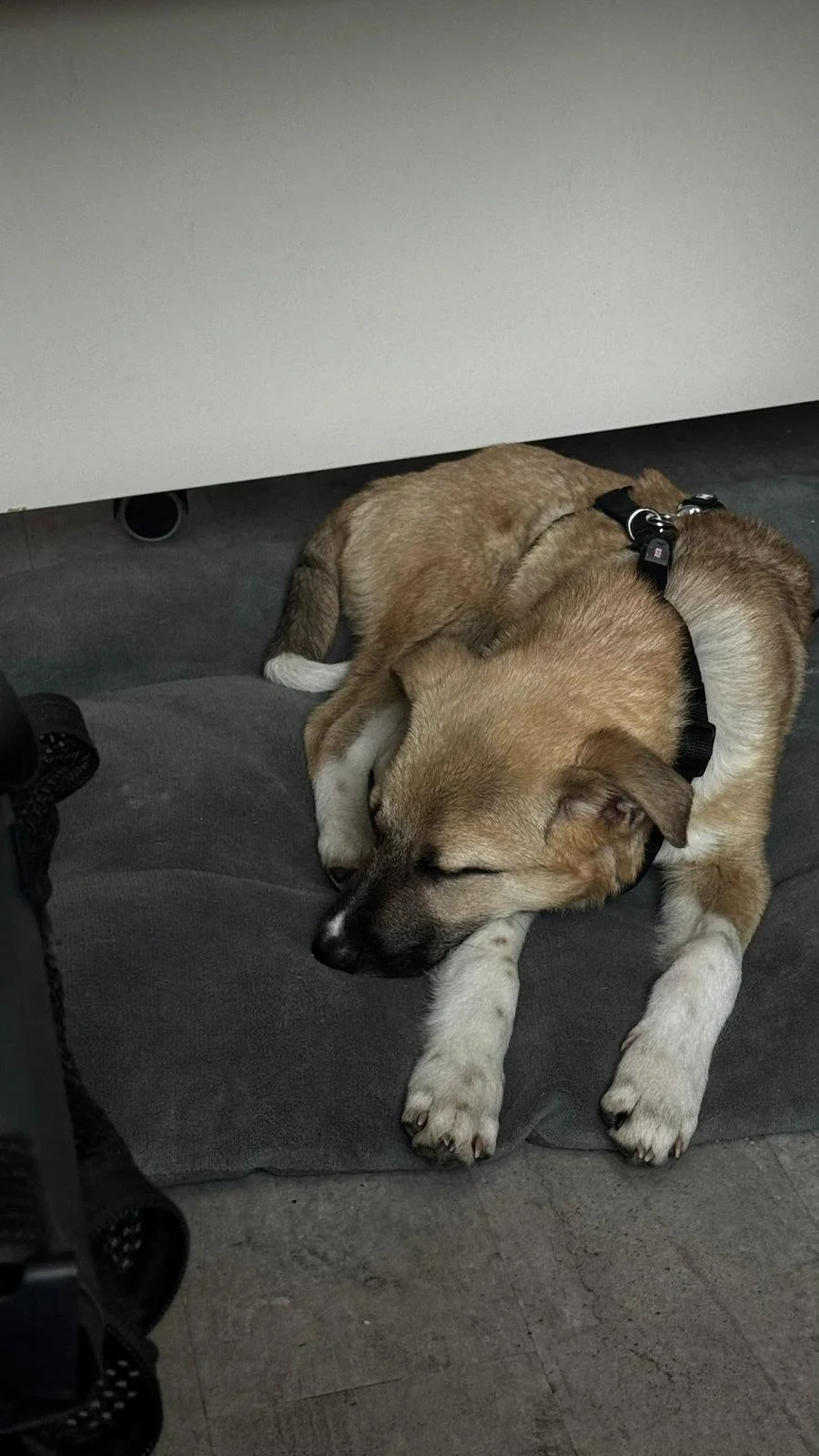 PHOTO-2026-03-14-10-29-06 2.jpg