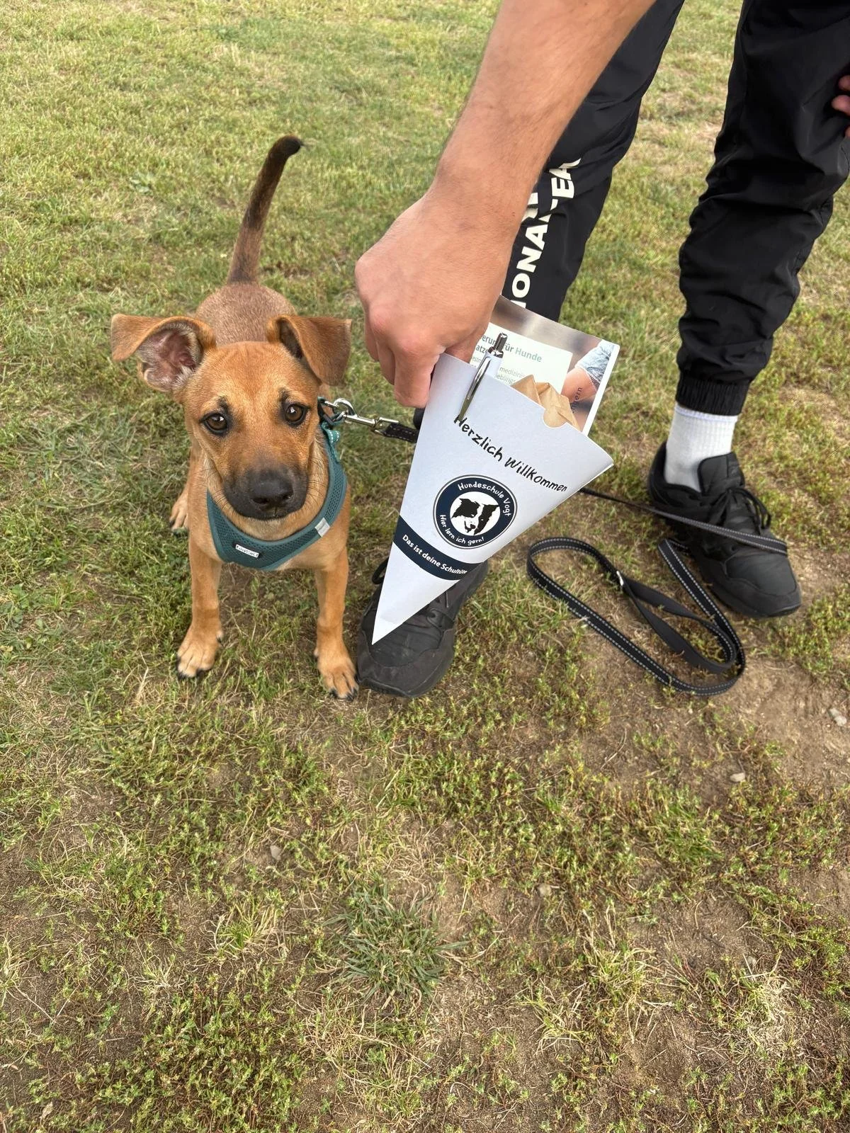 WhatsApp Image 2026-01-31 at 11.39.00 (1).jpeg