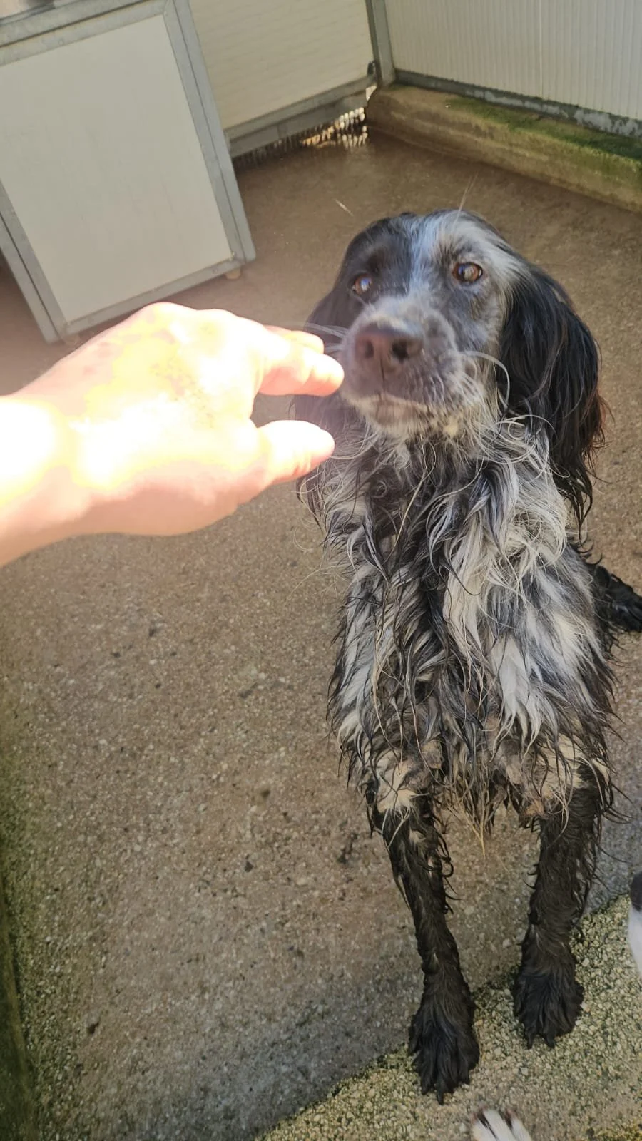 PHOTO-2026-02-03-11-34-17 2.jpg