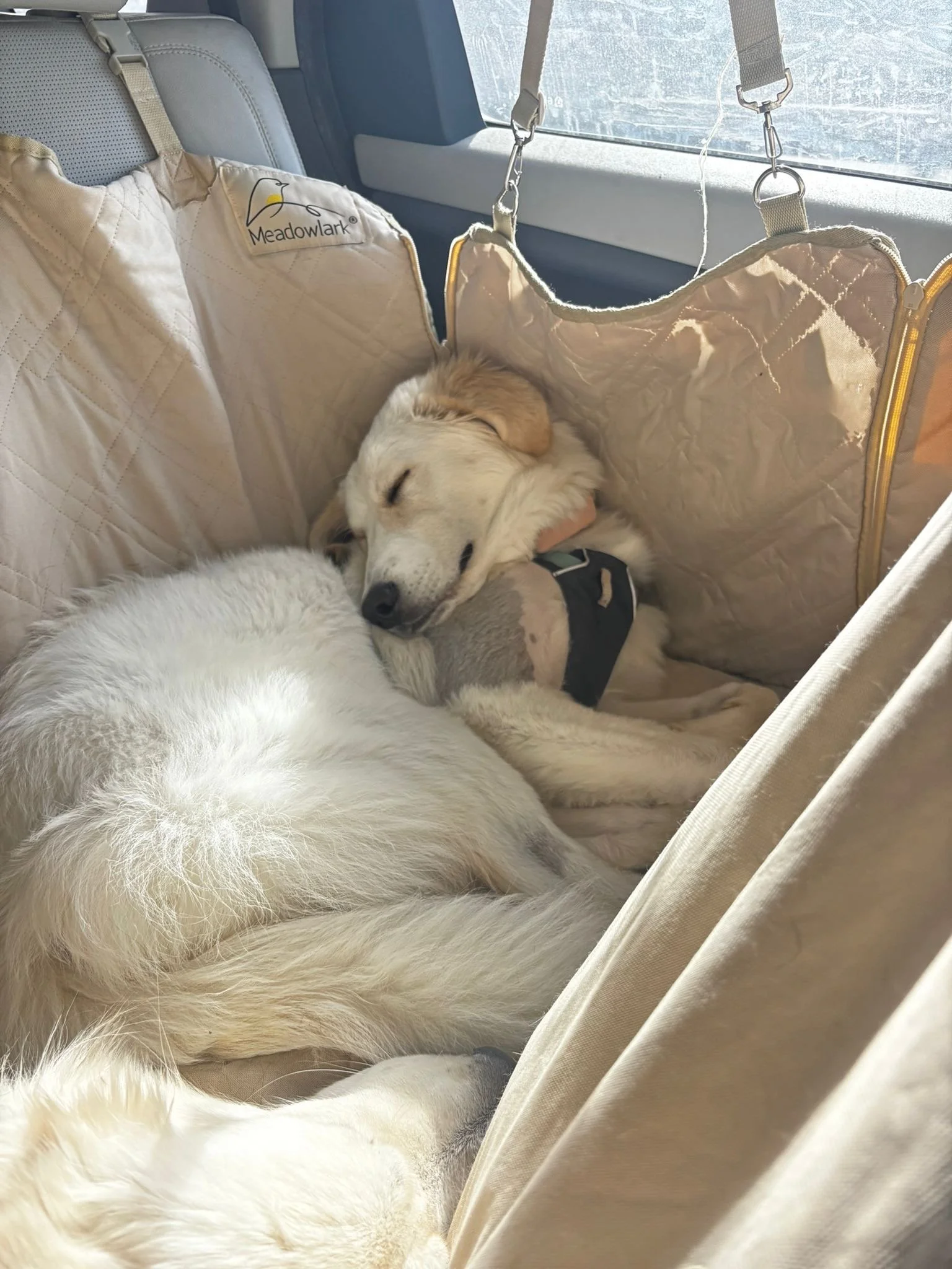 PHOTO-2025-12-15-09-54-00 3.jpg