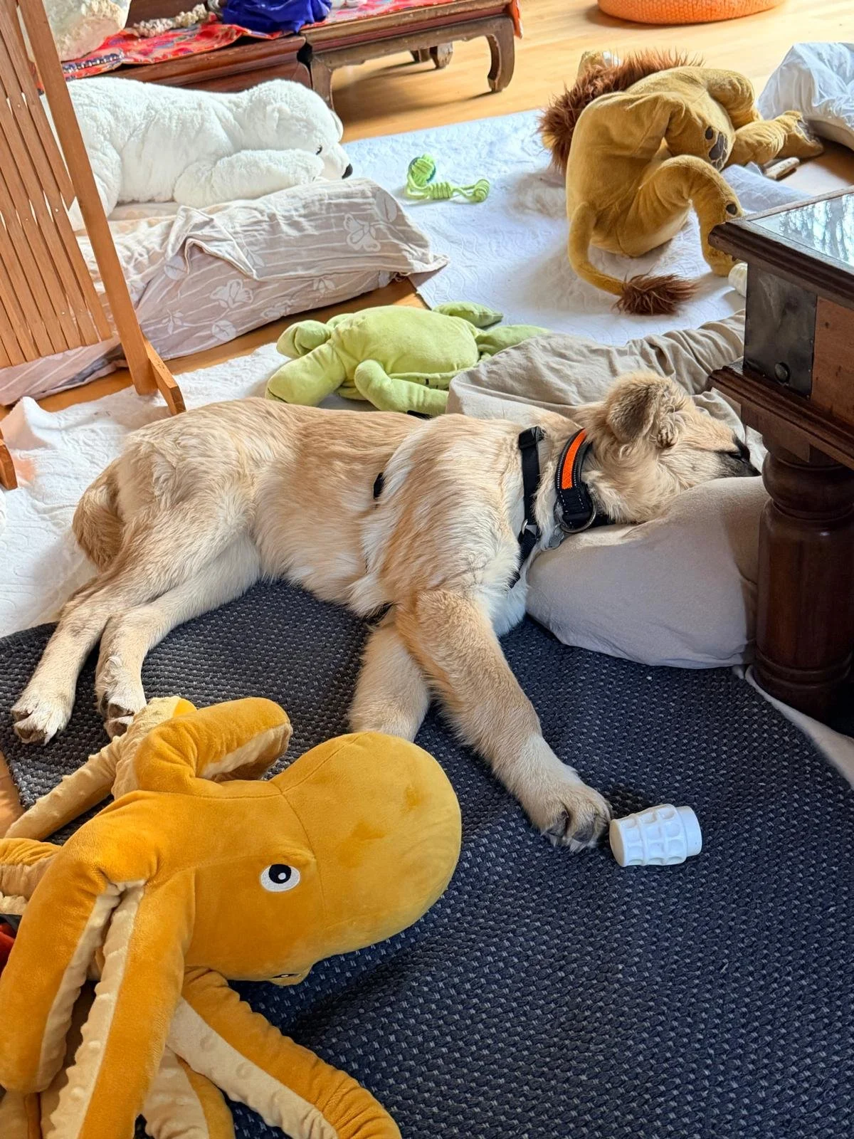 PHOTO-2026-03-21-17-25-27 2.jpg