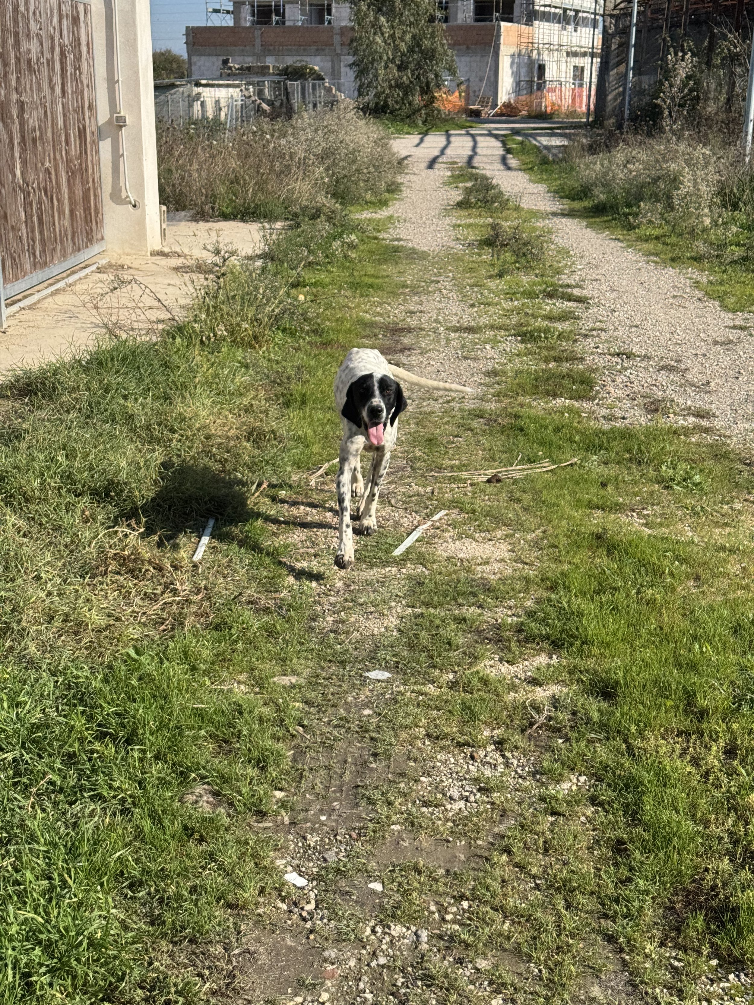 IMG_4768.jpeg