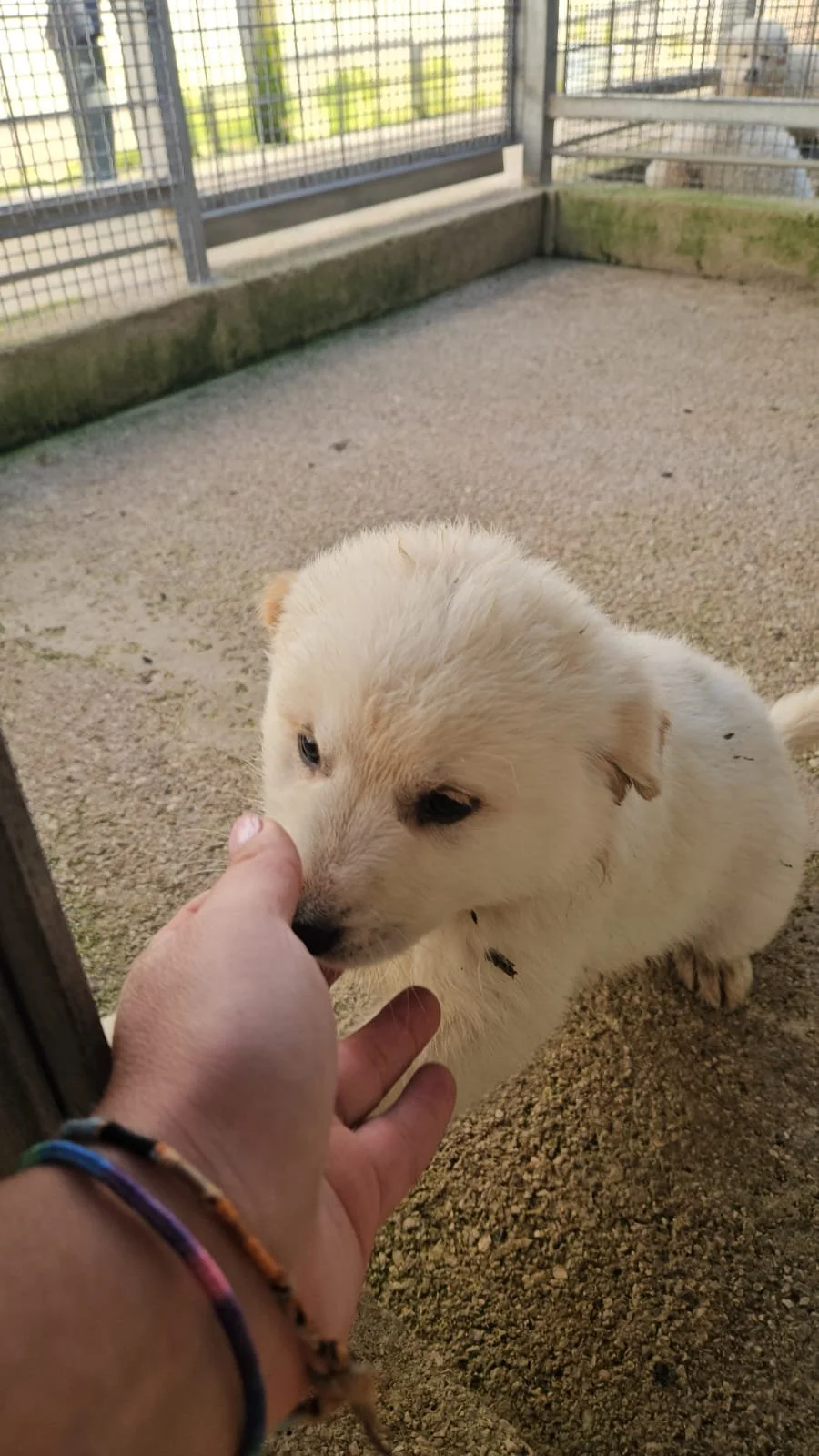 PHOTO-2025-12-10-12-30-13 2.jpg