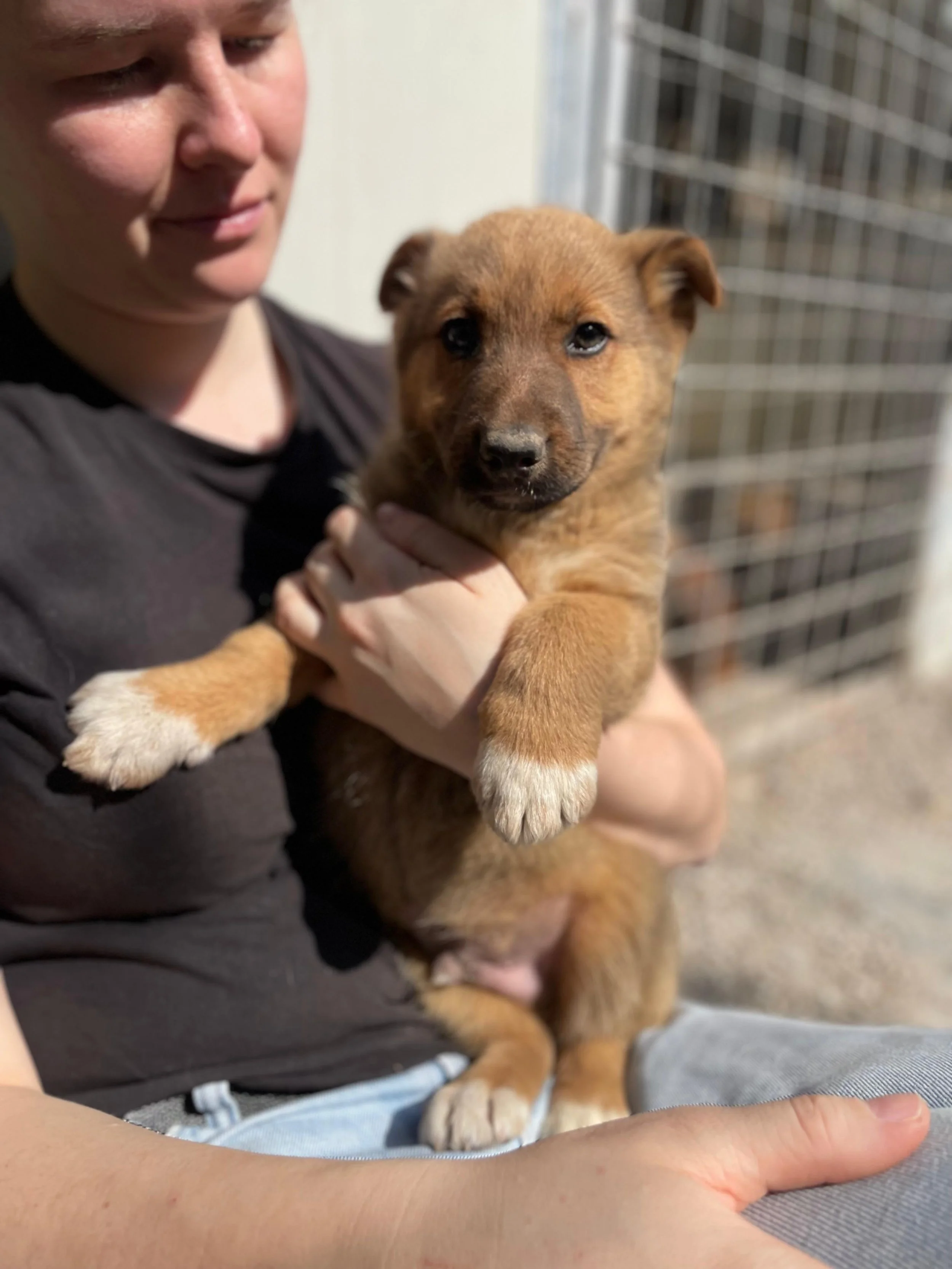 PHOTO-2026-03-11-14-16-00 5.jpg