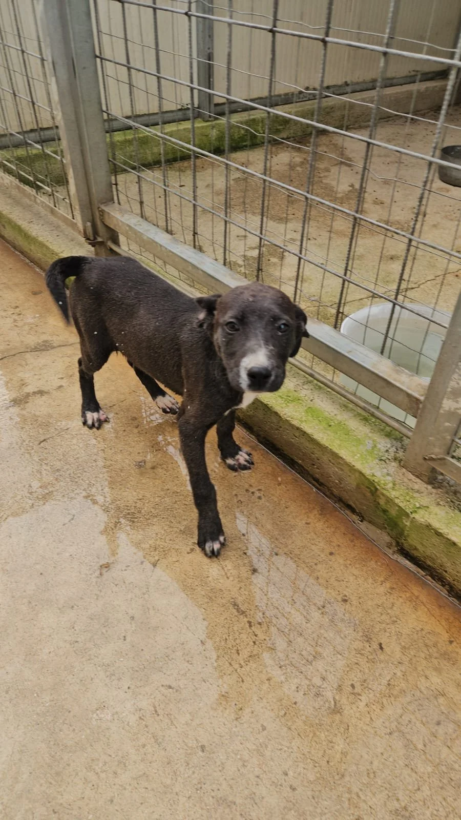 PHOTO-2026-04-09-09-33-19 3.jpg