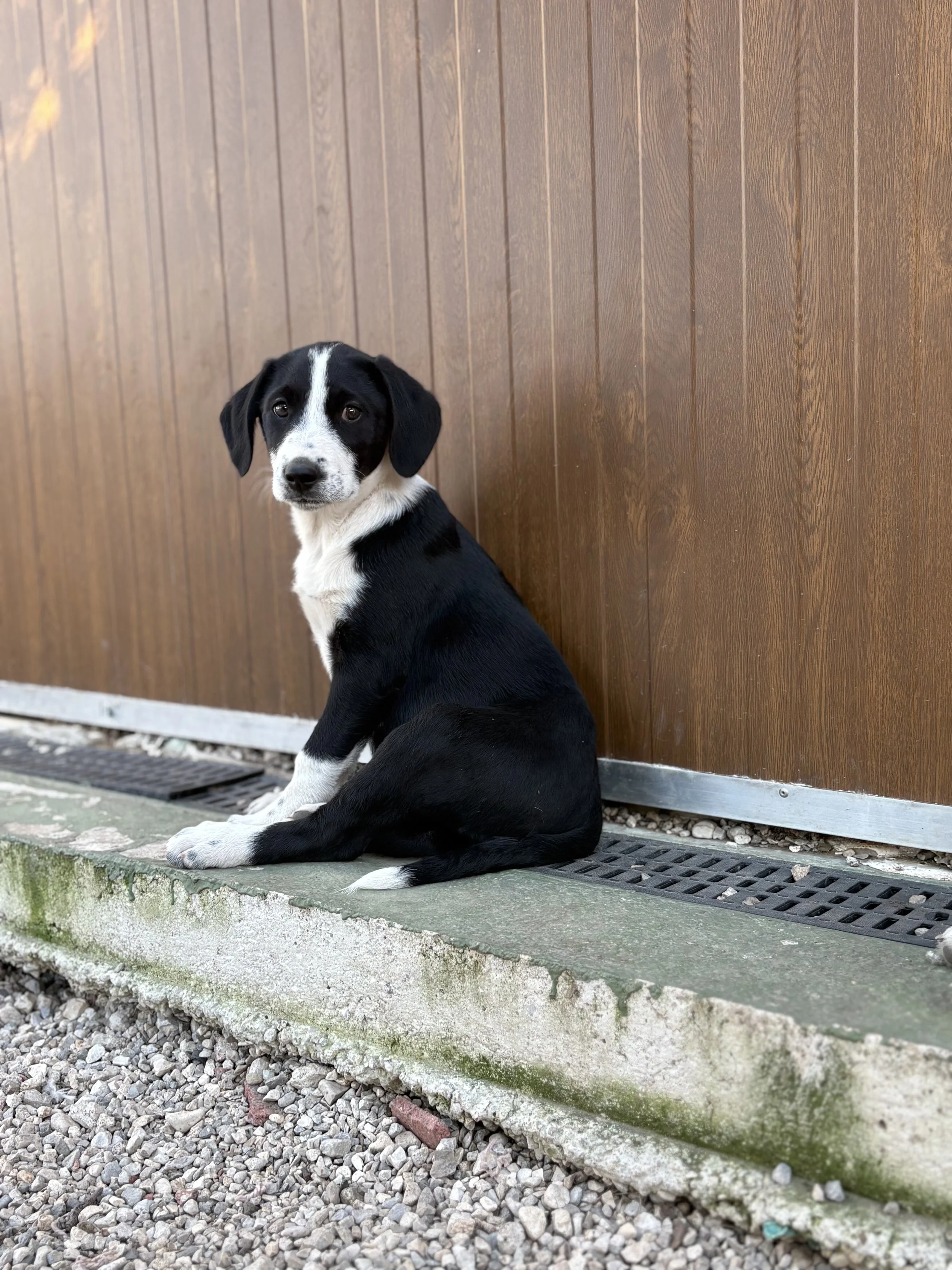 LOTTE - ACL (RESERVIERT)