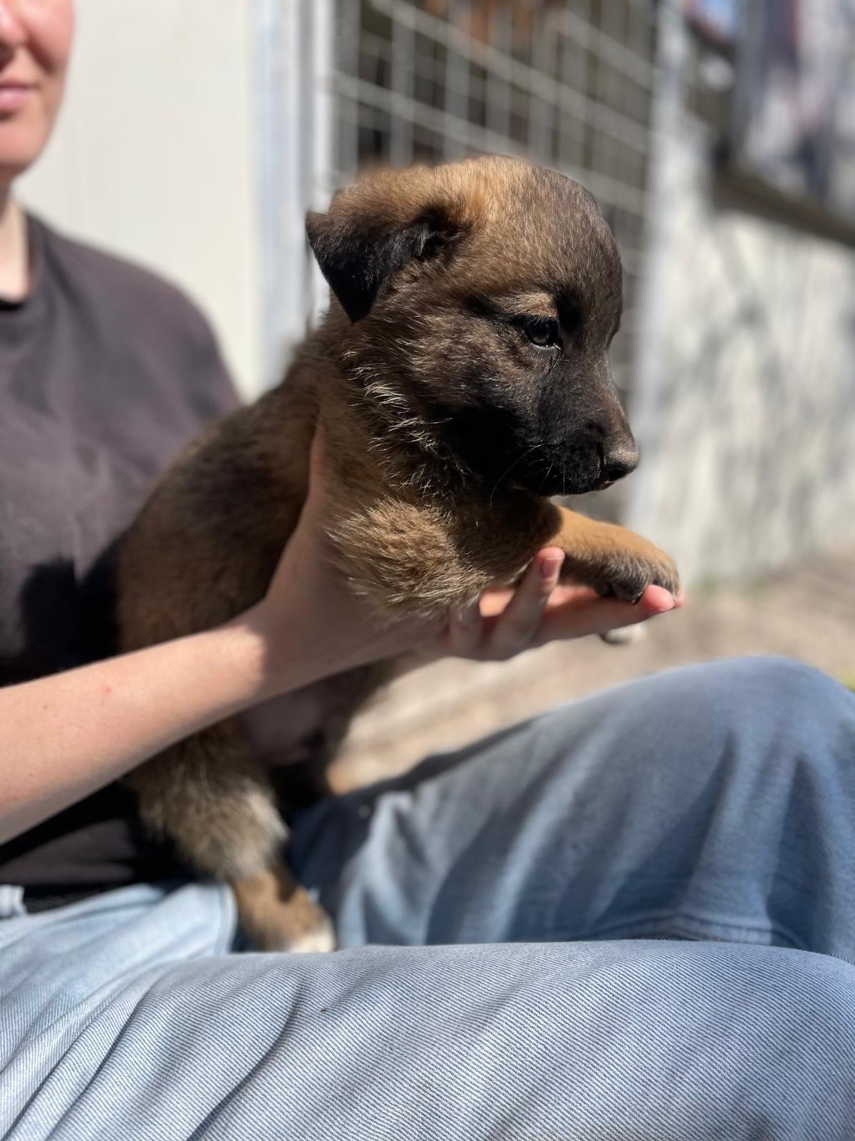 PHOTO-2026-03-11-14-17-05 3.jpg