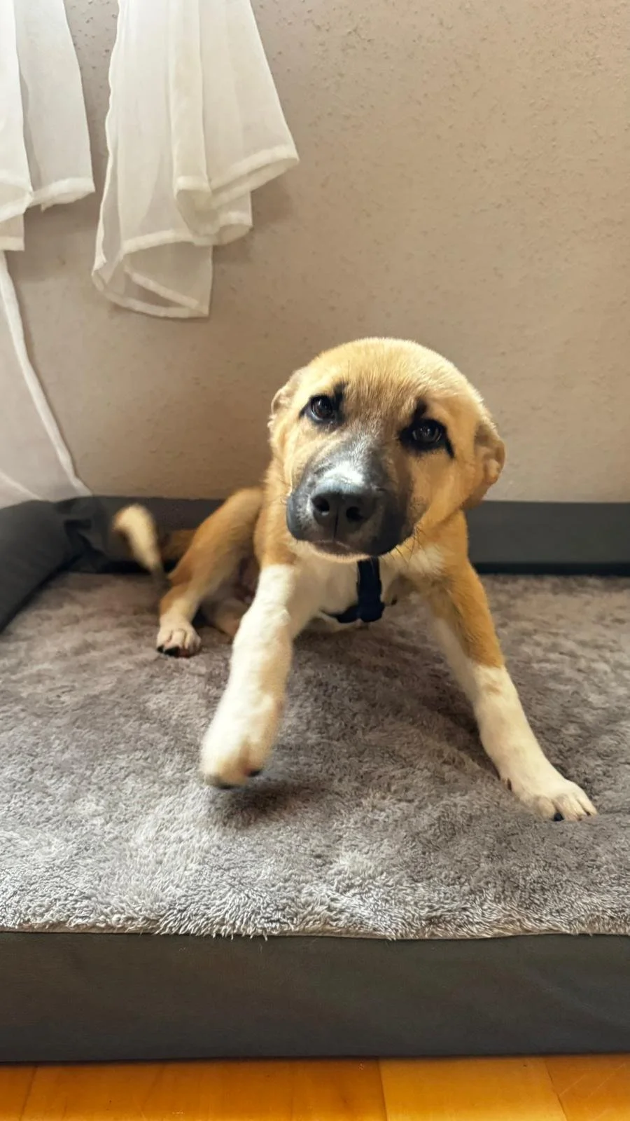 PHOTO-2026-03-14-10-29-07 2.jpg