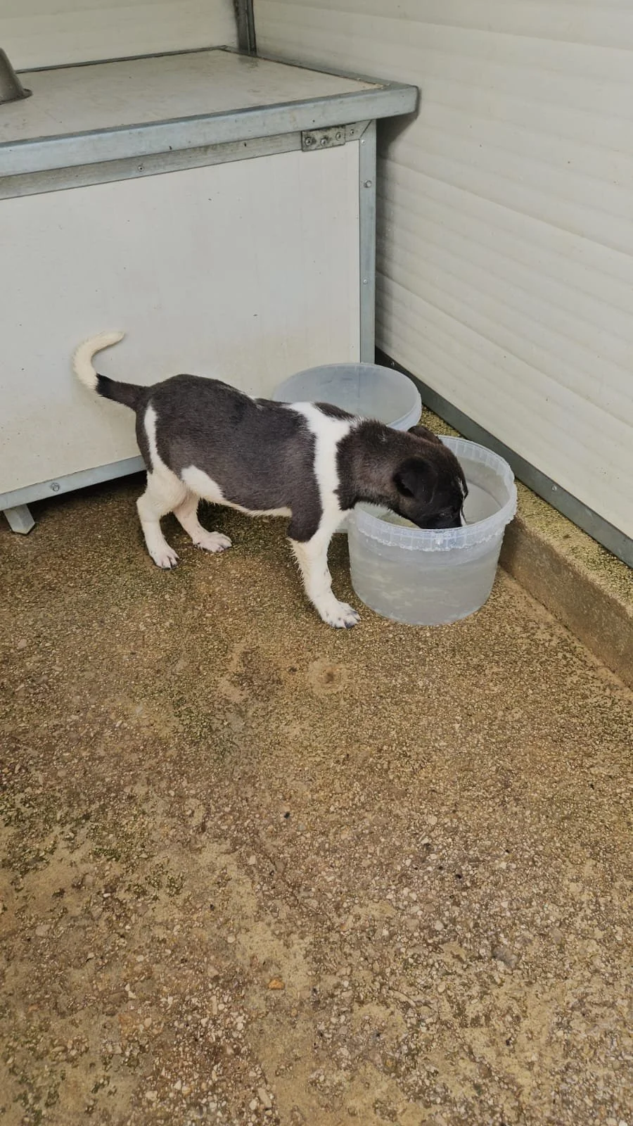 PHOTO-2026-04-09-09-34-32 3.jpg