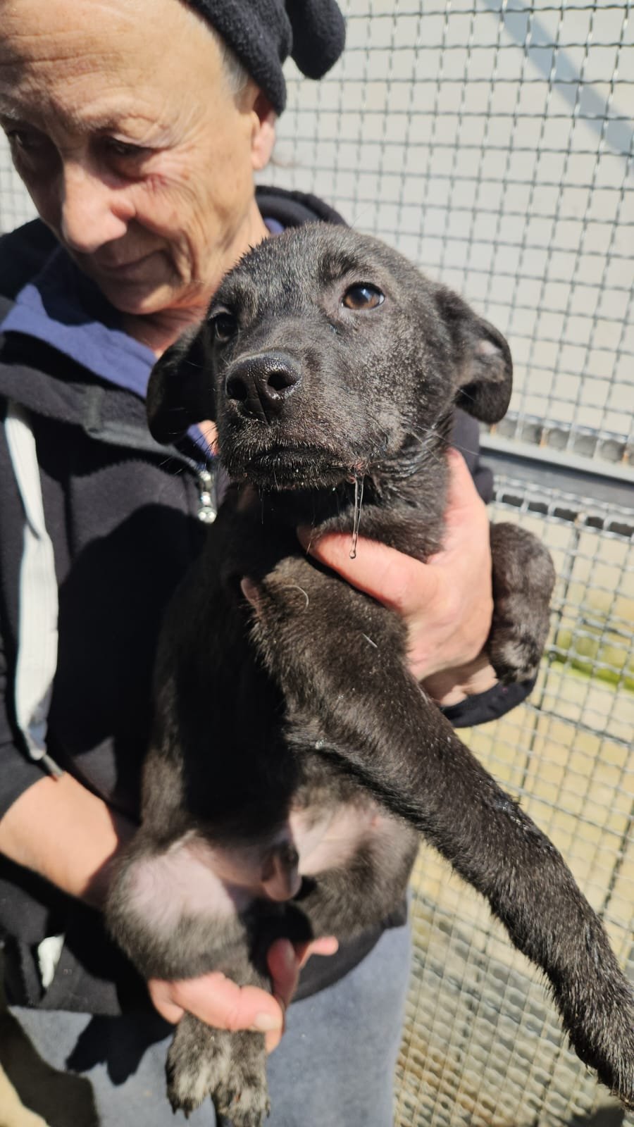 PHOTO-2026-03-20-12-44-04 3.jpg