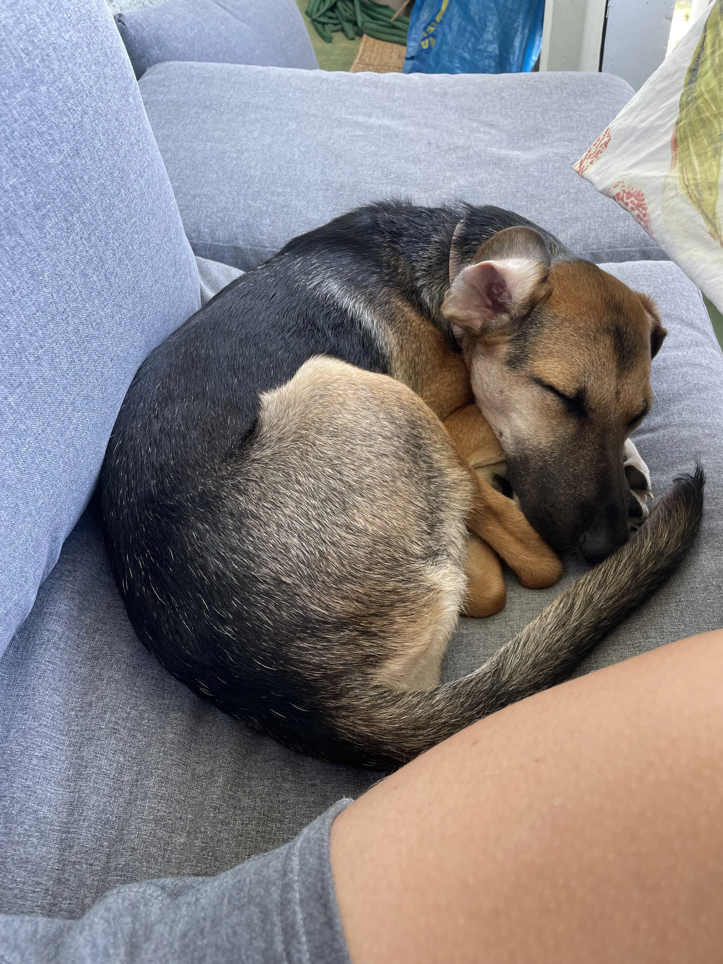 image00002.jpeg