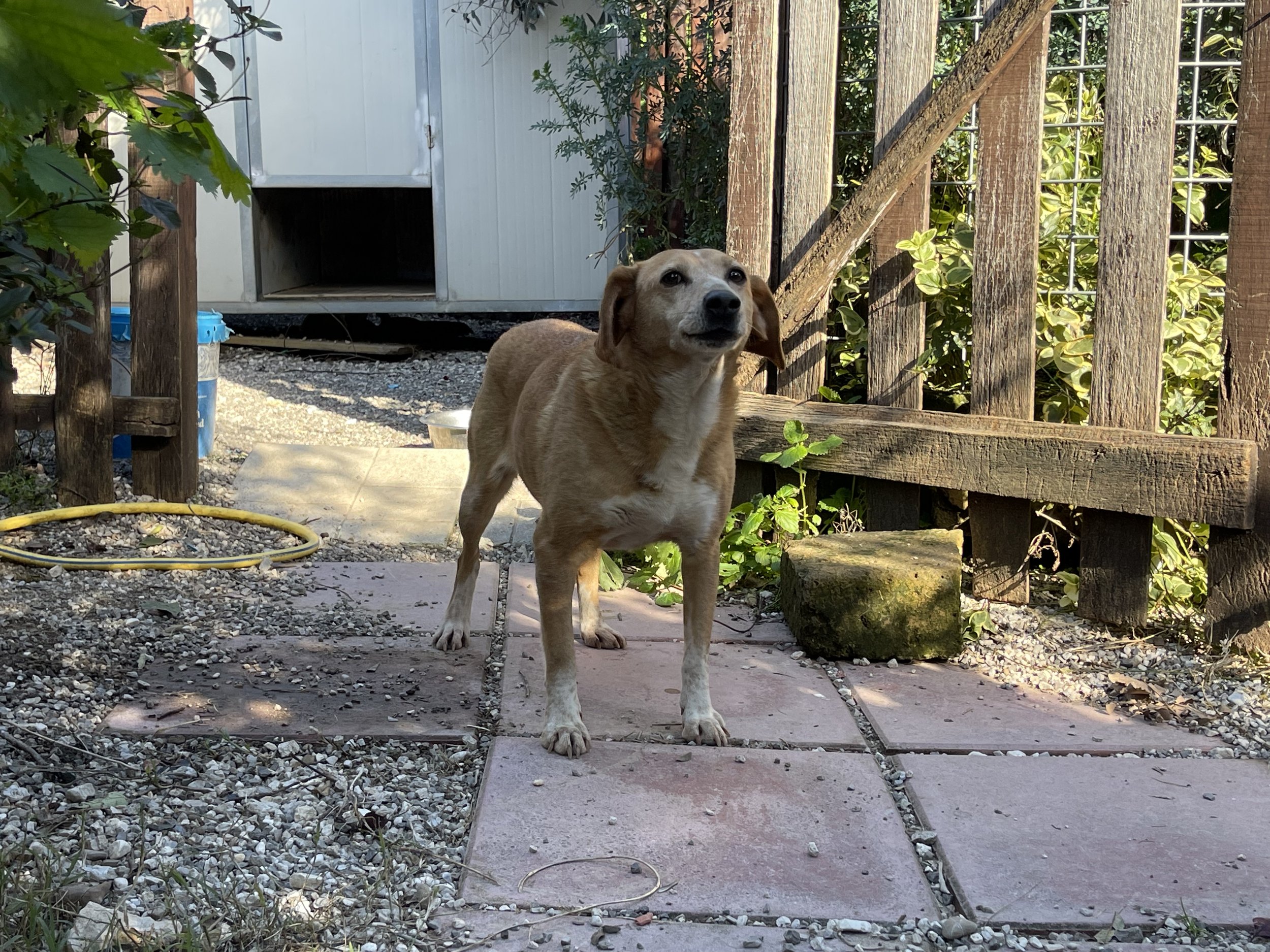 IMG_0040.jpeg