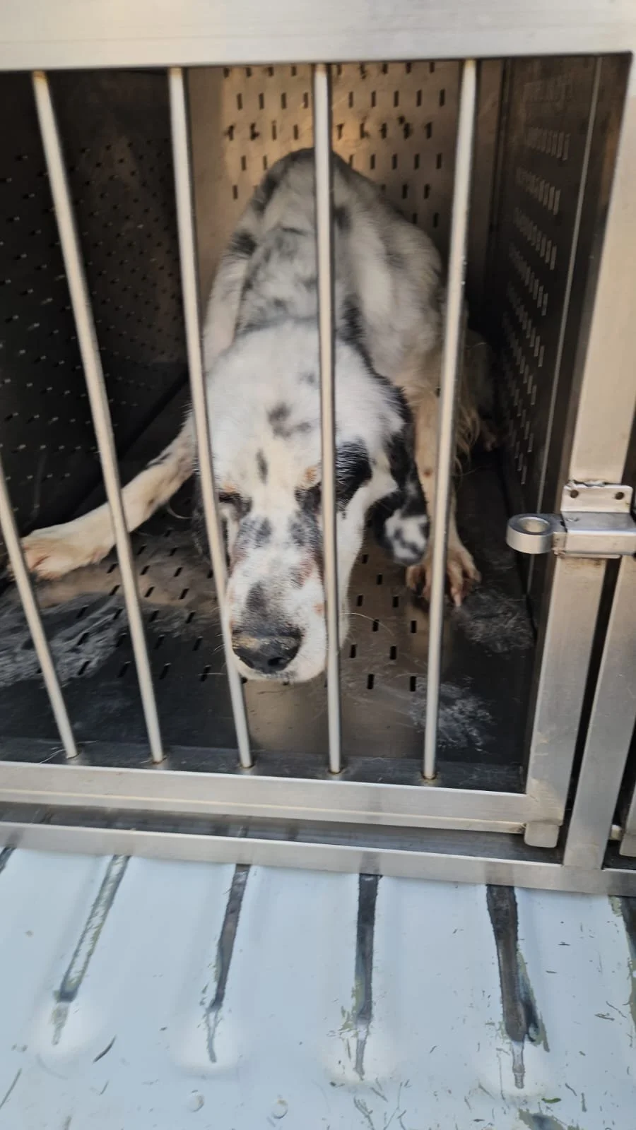 PHOTO-2025-12-15-14-01-18 3.jpg