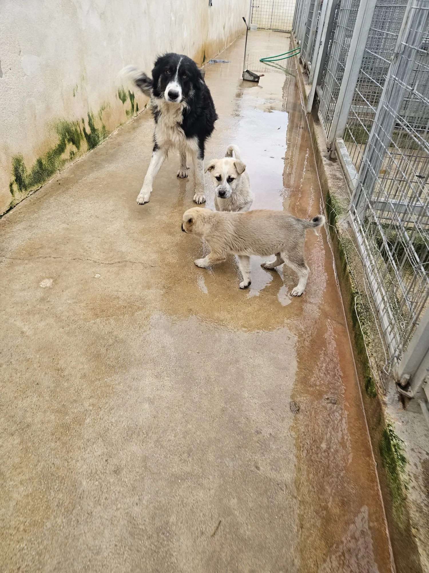 PHOTO-2026-01-20-09-38-10 2.jpg