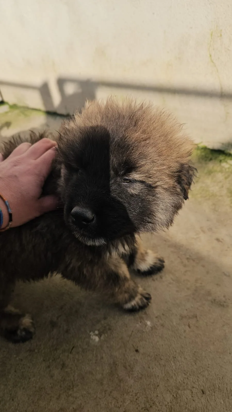 PHOTO-2025-12-10-12-23-17 2.jpg