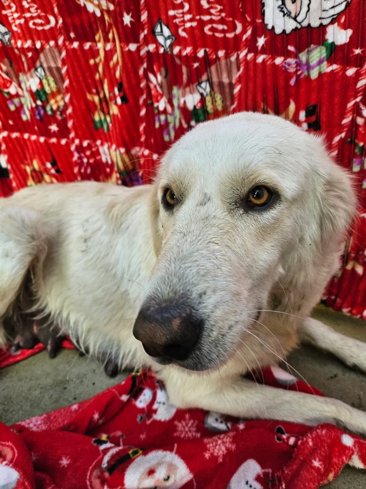 PHOTO-2025-12-10-09-56-25 2.jpg