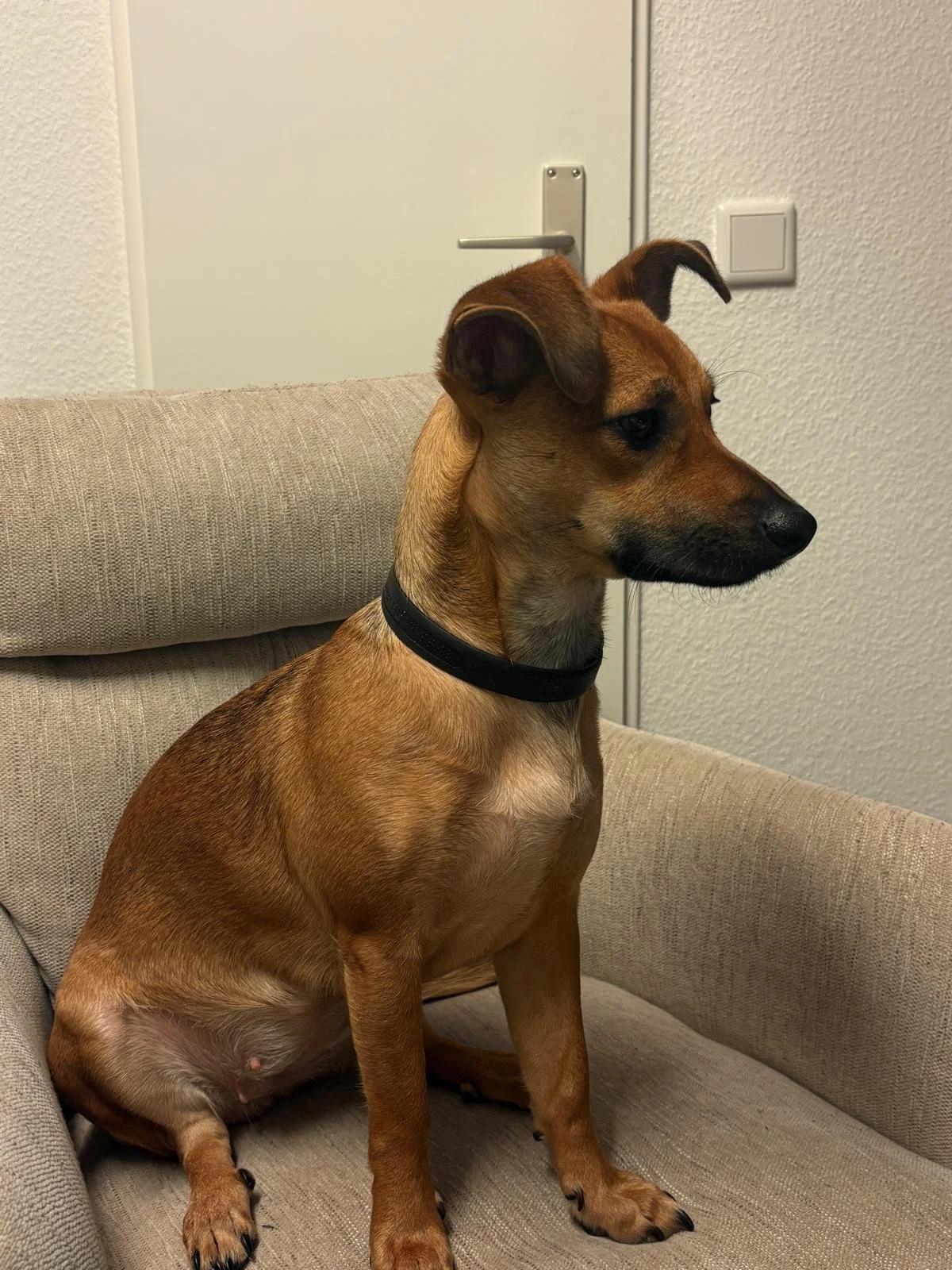 WhatsApp Image 2026-01-31 at 11.39.01 (3).jpeg