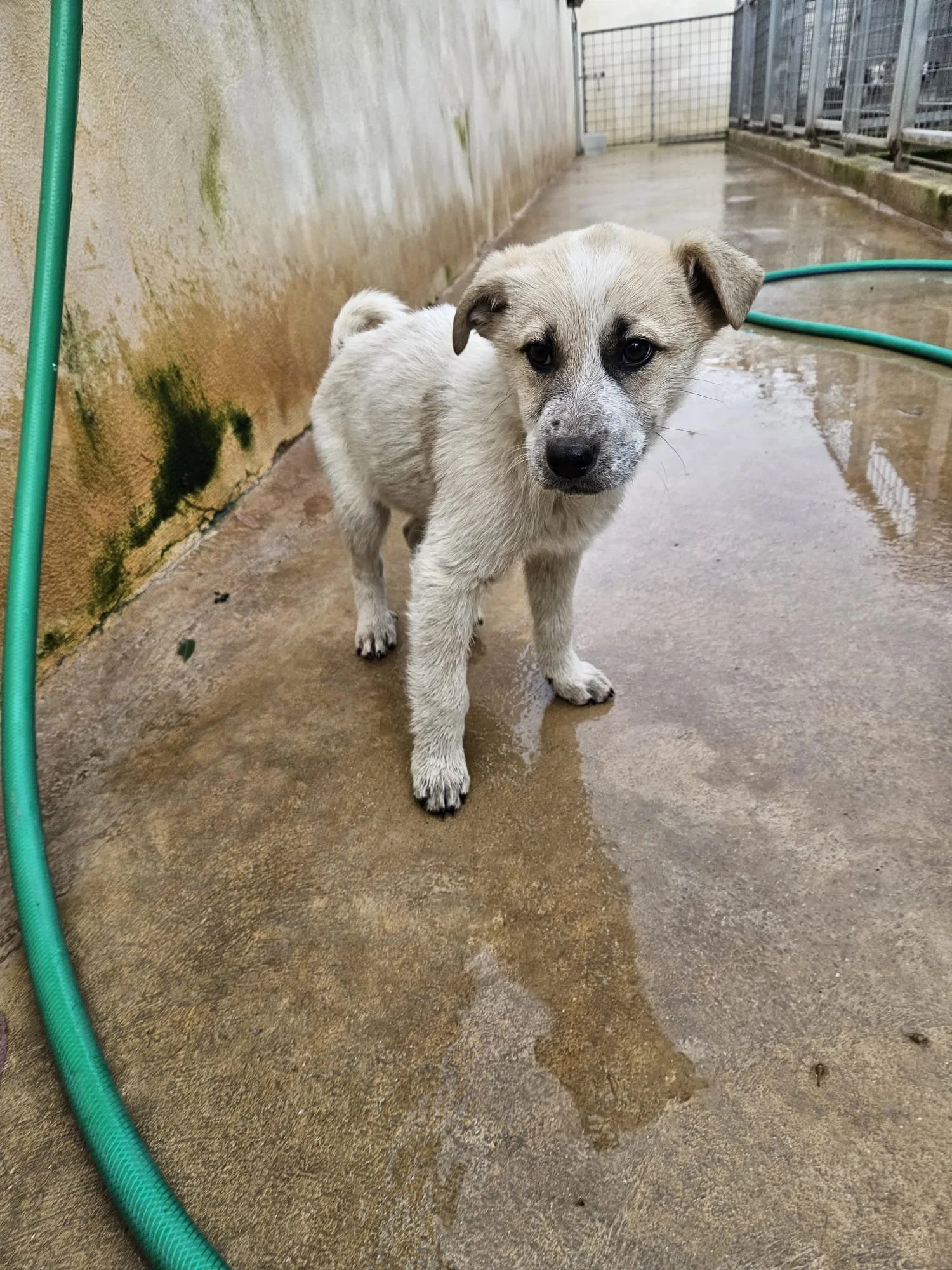 PHOTO-2026-01-20-09-40-35 3.jpg