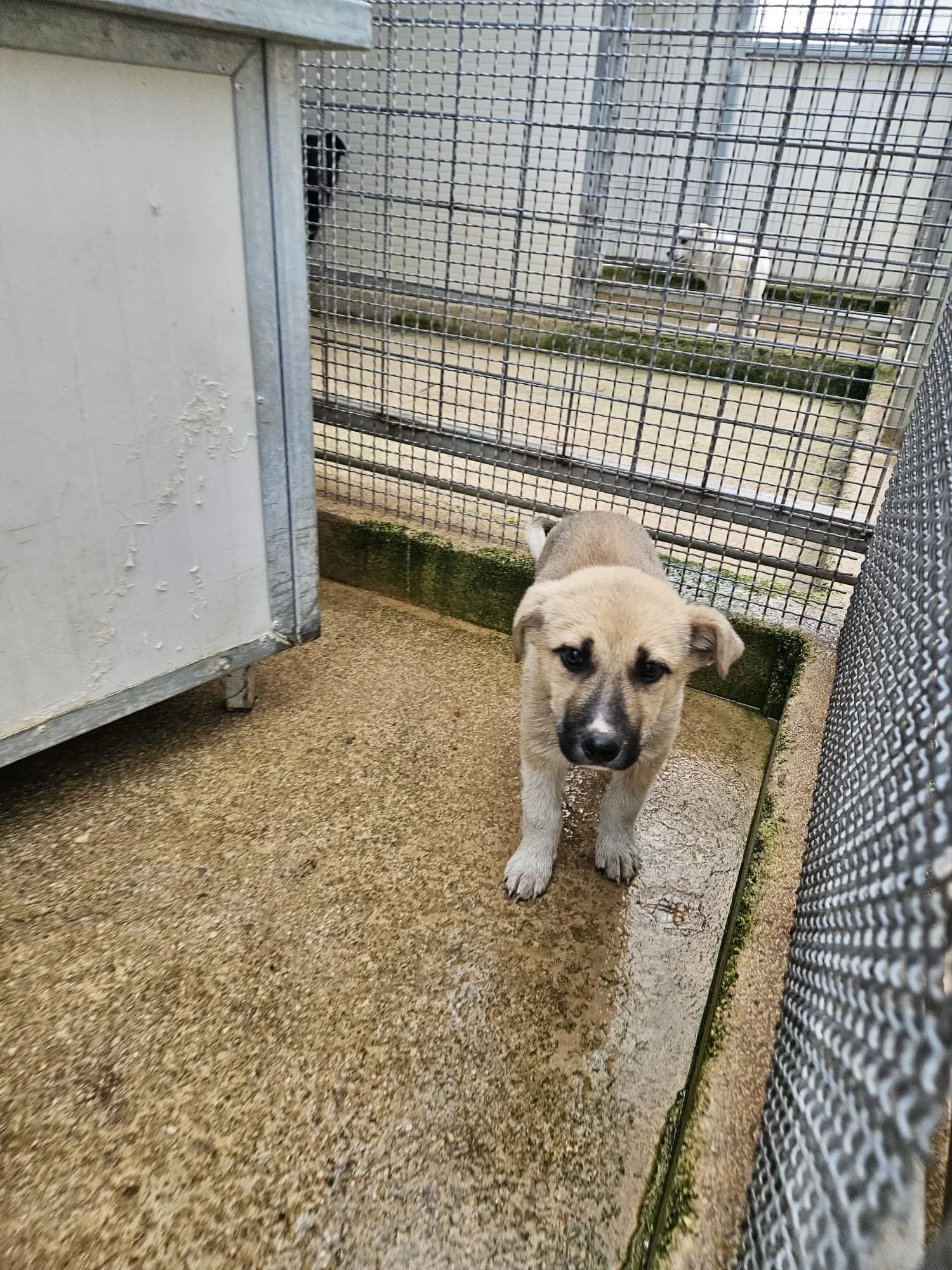 PHOTO-2026-01-20-09-41-15 2.jpg