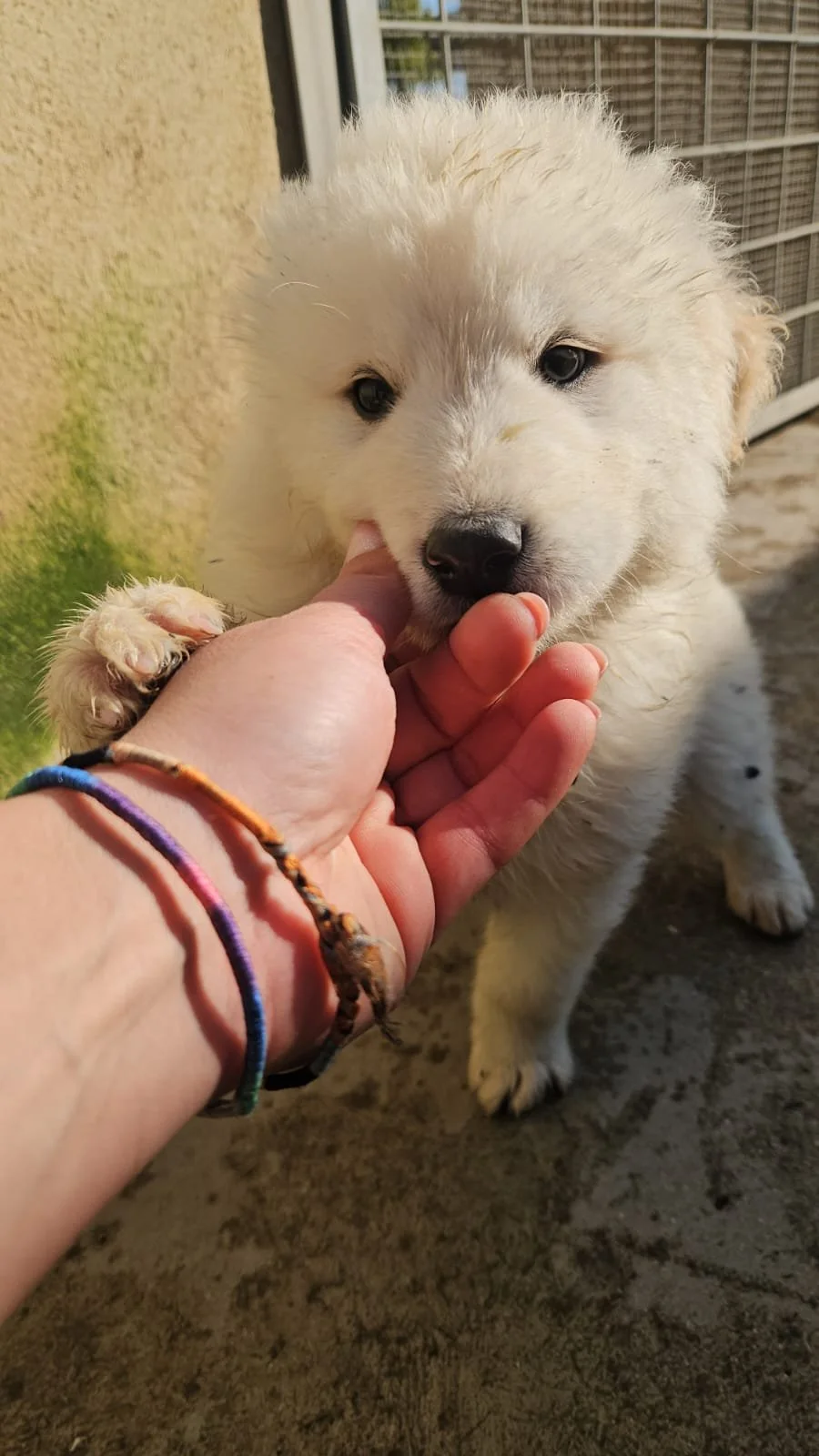 PHOTO-2025-12-10-12-26-22 3.jpg