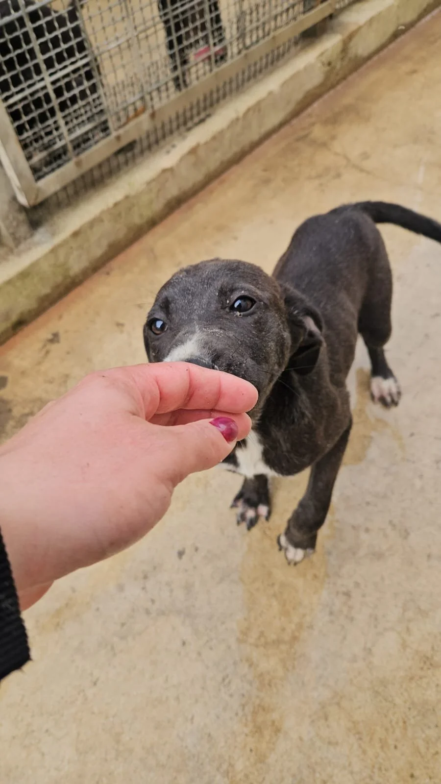 PHOTO-2026-04-09-09-33-19 2.jpg