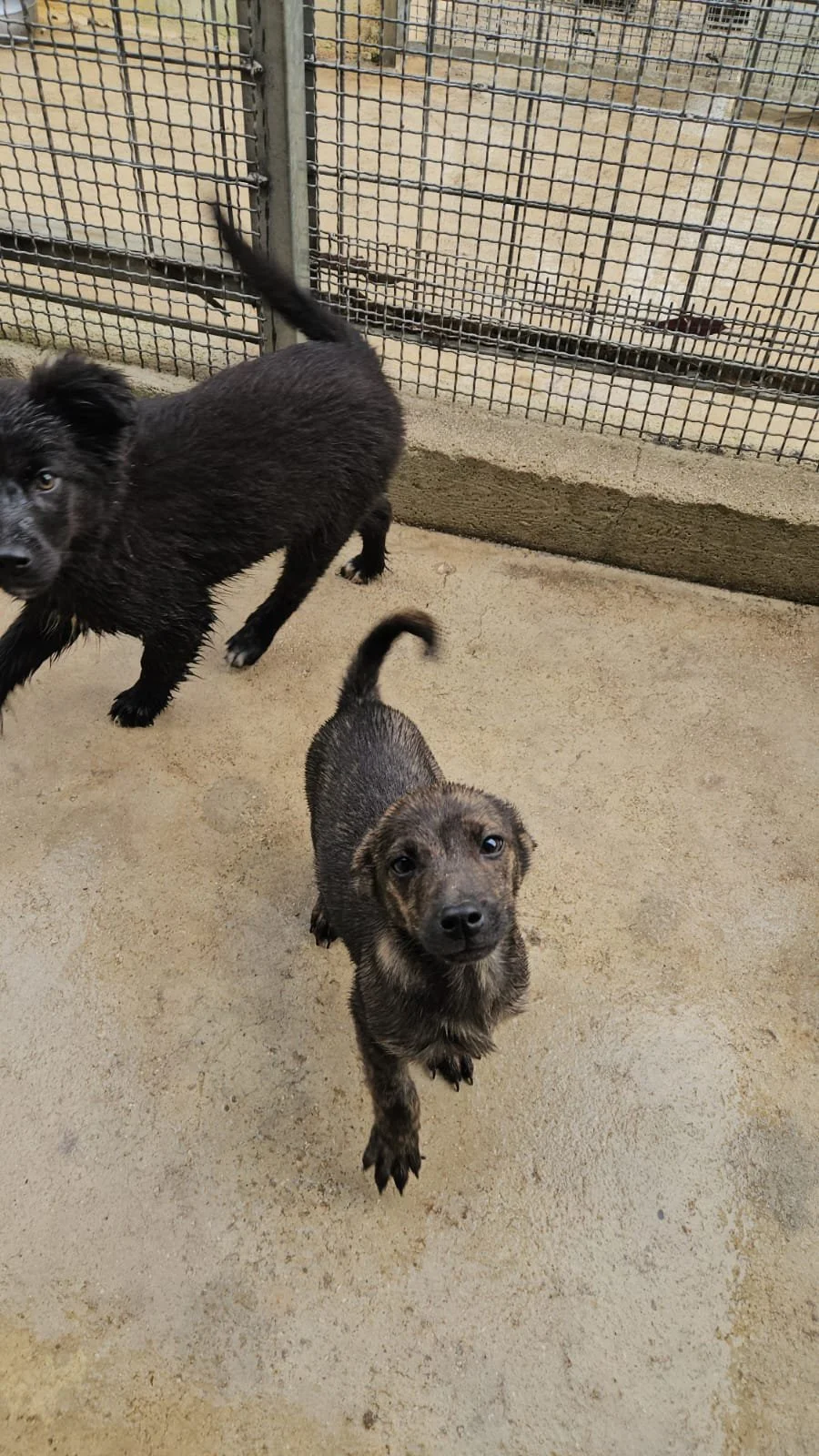 PHOTO-2026-04-09-09-38-11 2.jpg