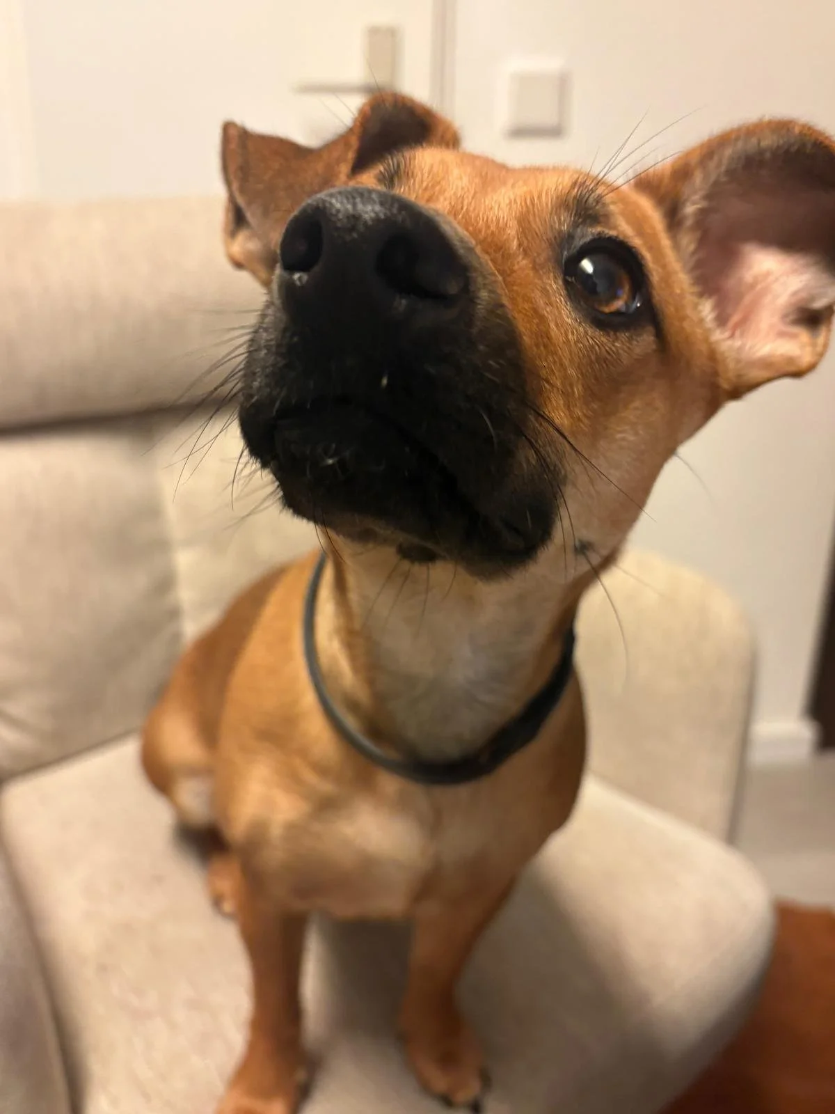 WhatsApp Image 2026-01-31 at 11.39.01 (2).jpeg