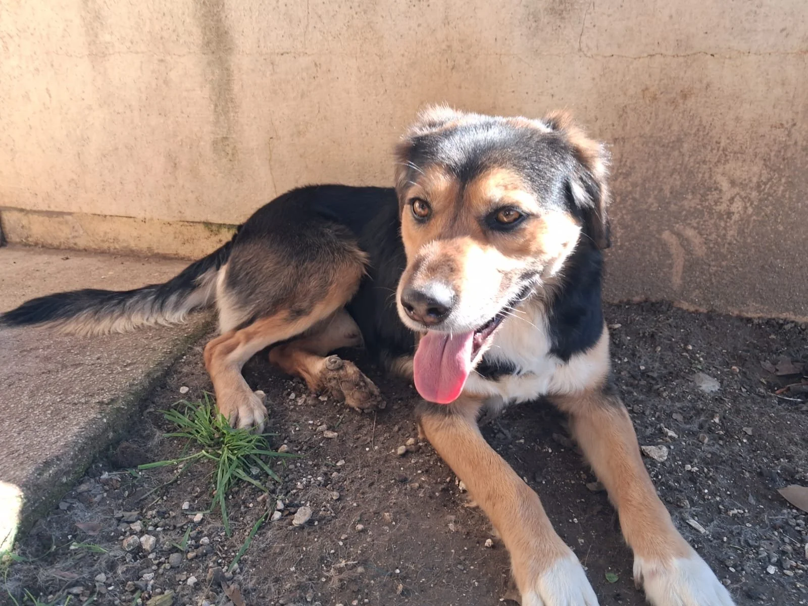 WhatsApp Image 2026-03-19 at 09.53.00 (1).jpeg