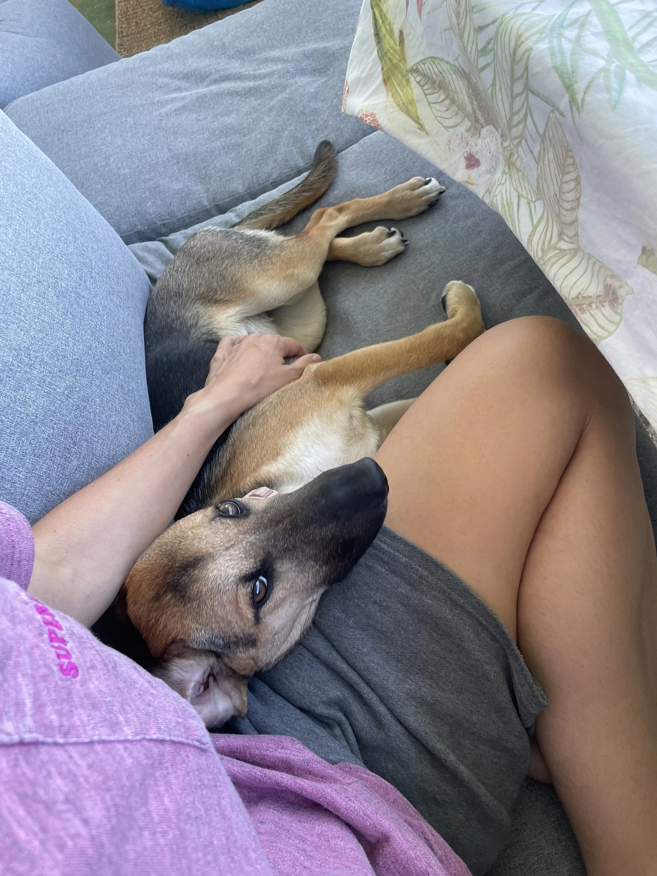 image00001.jpeg
