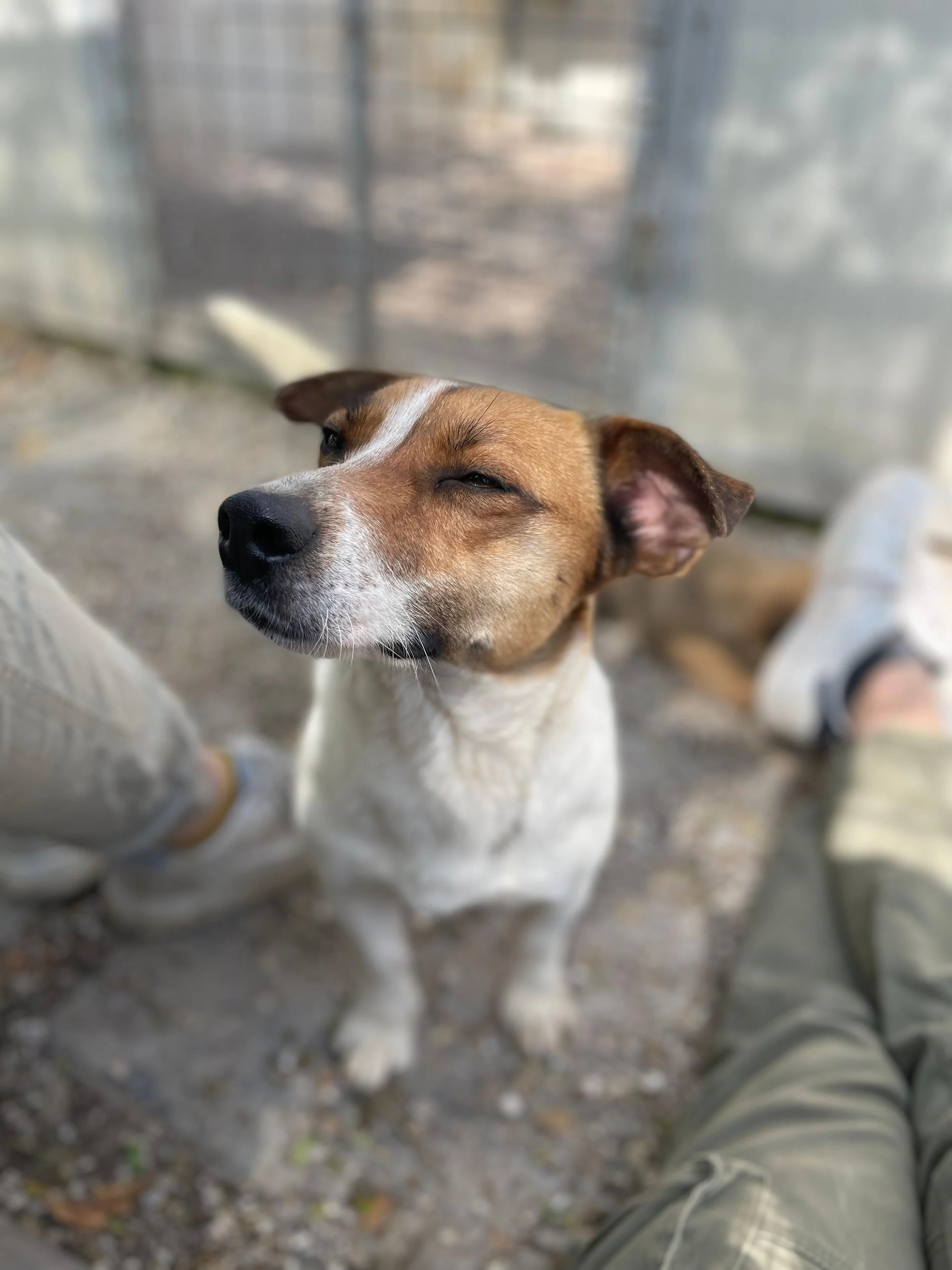 PHOTO-2026-03-11-14-26-18 3 (1).jpg