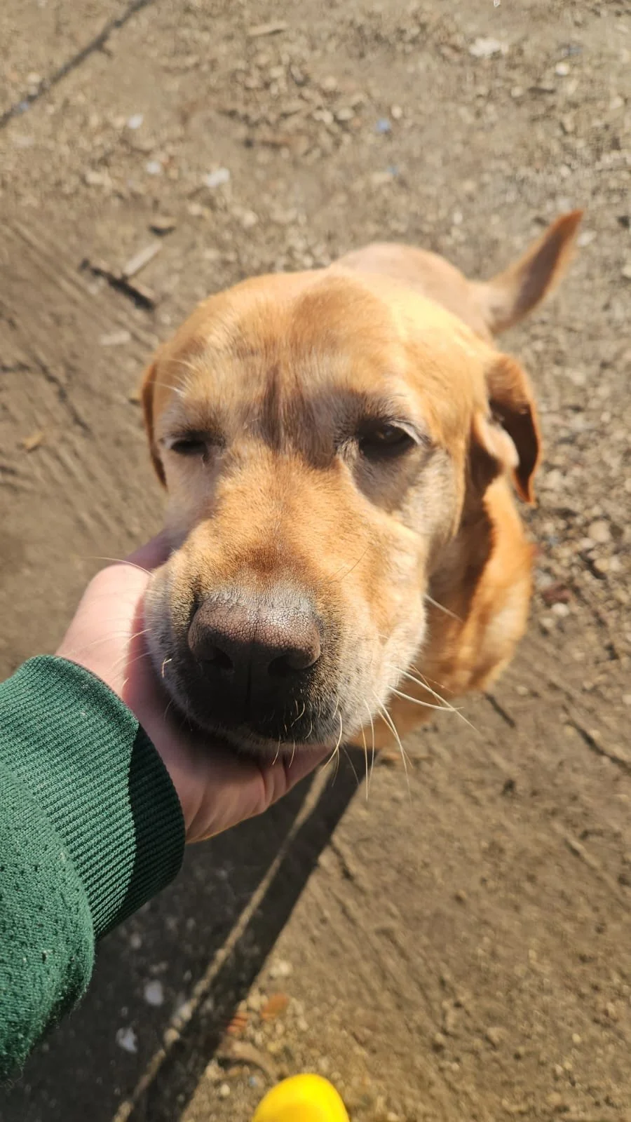 PHOTO-2026-02-03-11-53-51 6.jpg