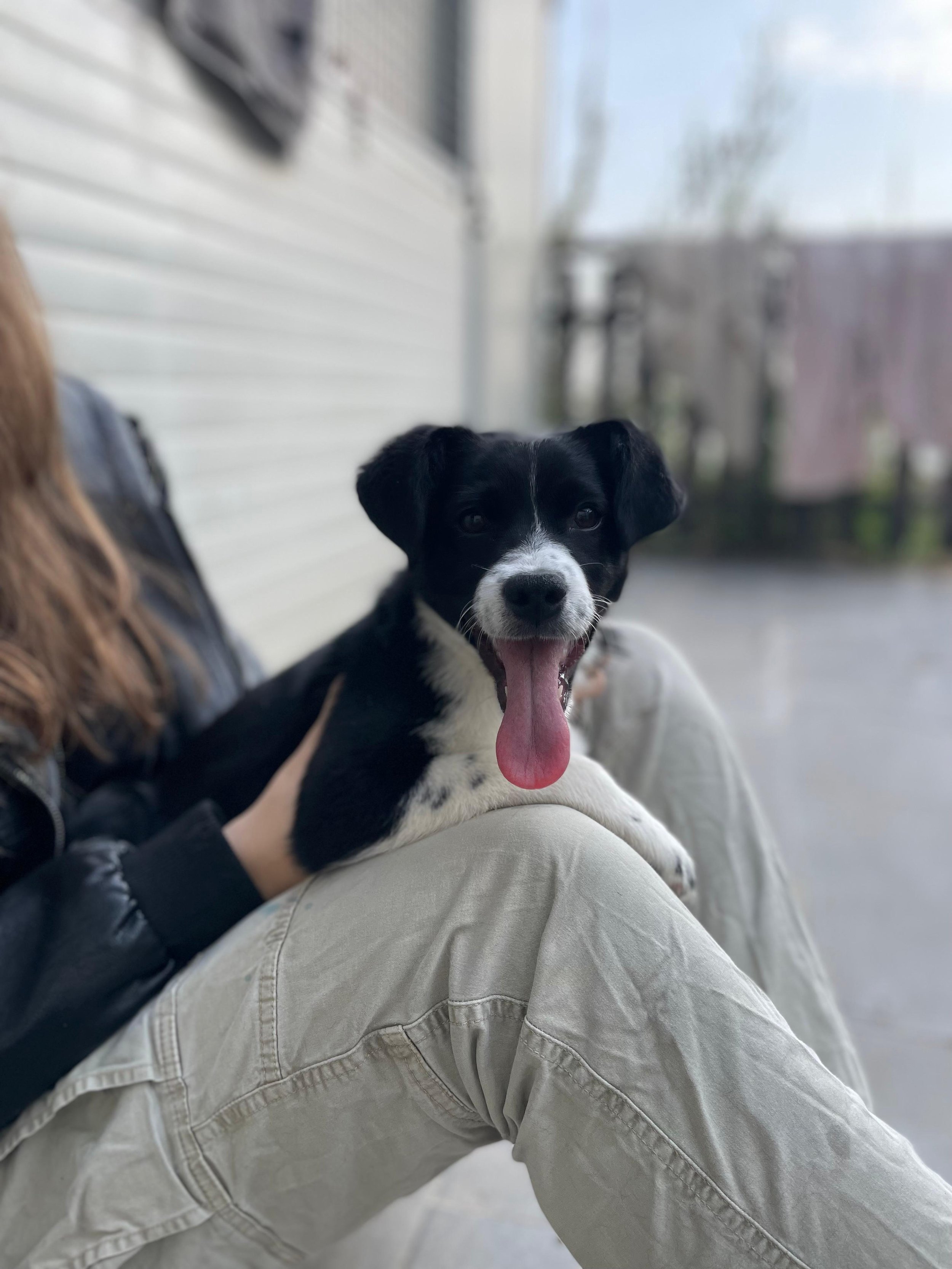 PHOTO-2026-03-11-14-45-35 3.jpg