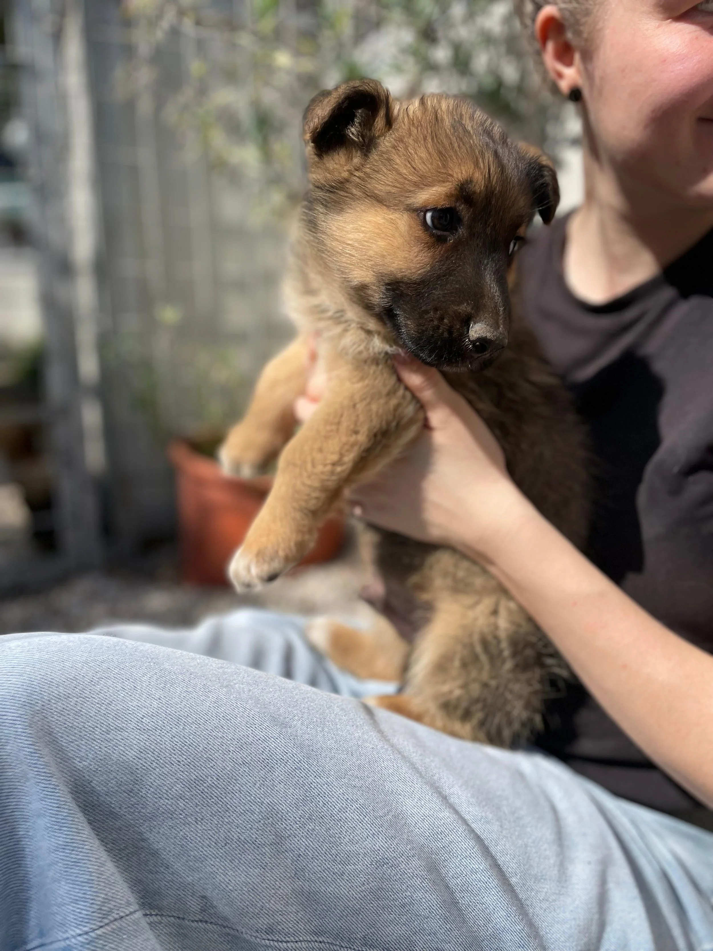 PHOTO-2026-03-11-14-15-27 2.jpg