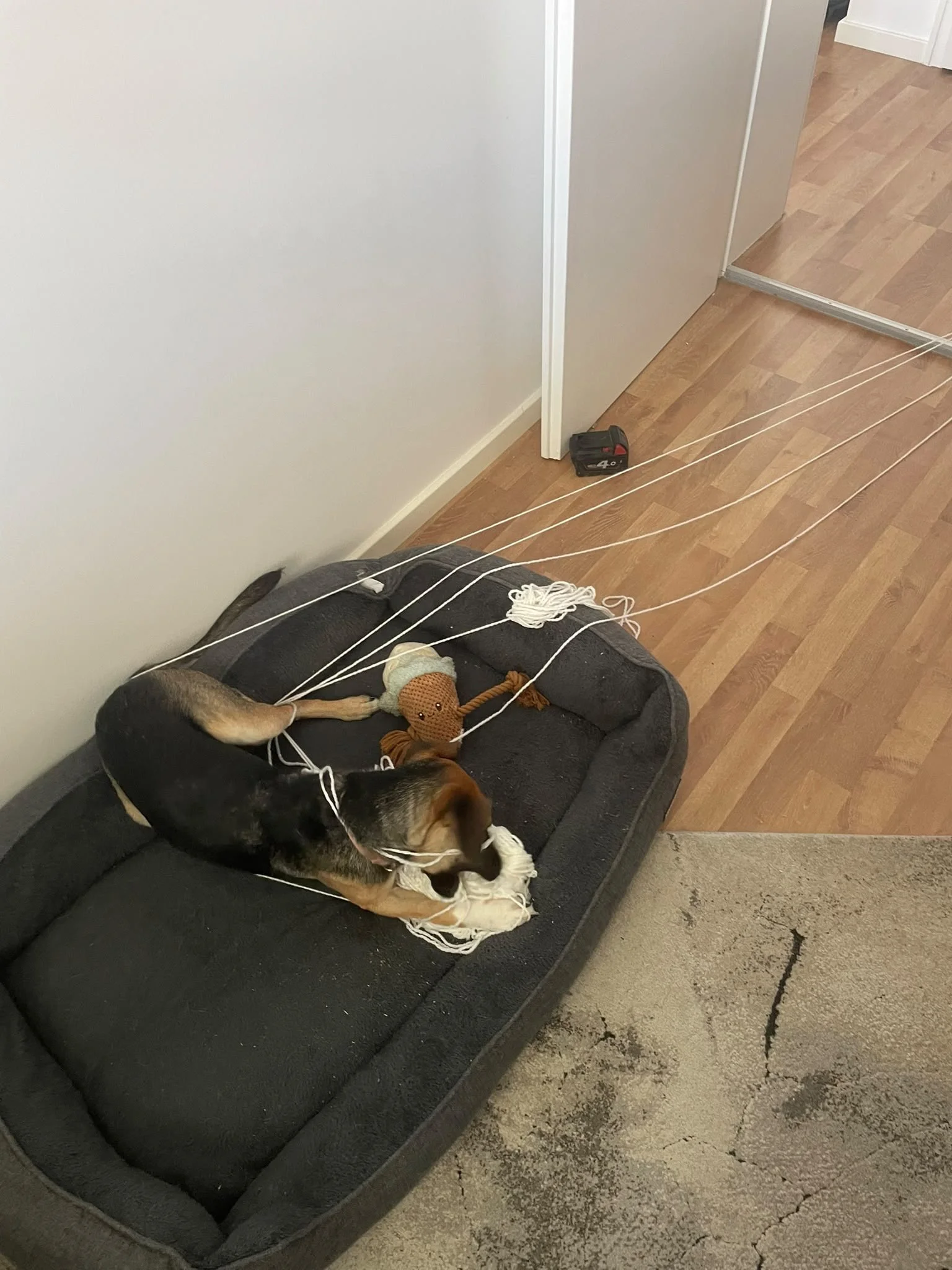 image00010.jpeg