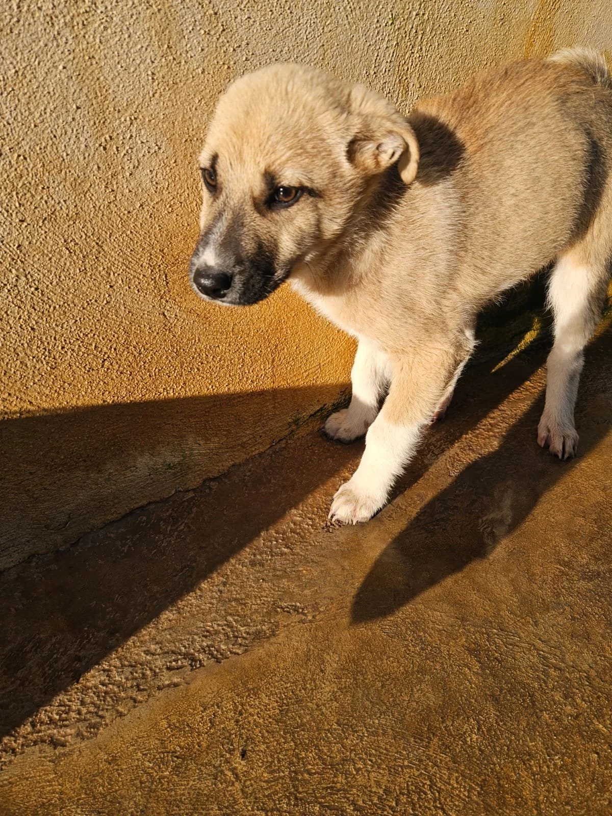 PHOTO-2026-02-02-08-56-45 2.jpg